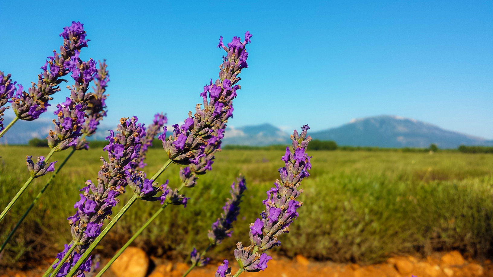 20140717_183552.jpg