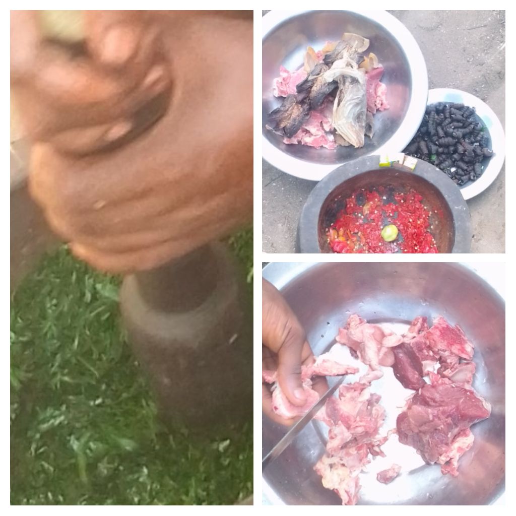 IMG_20220119_122037-COLLAGE.jpg
