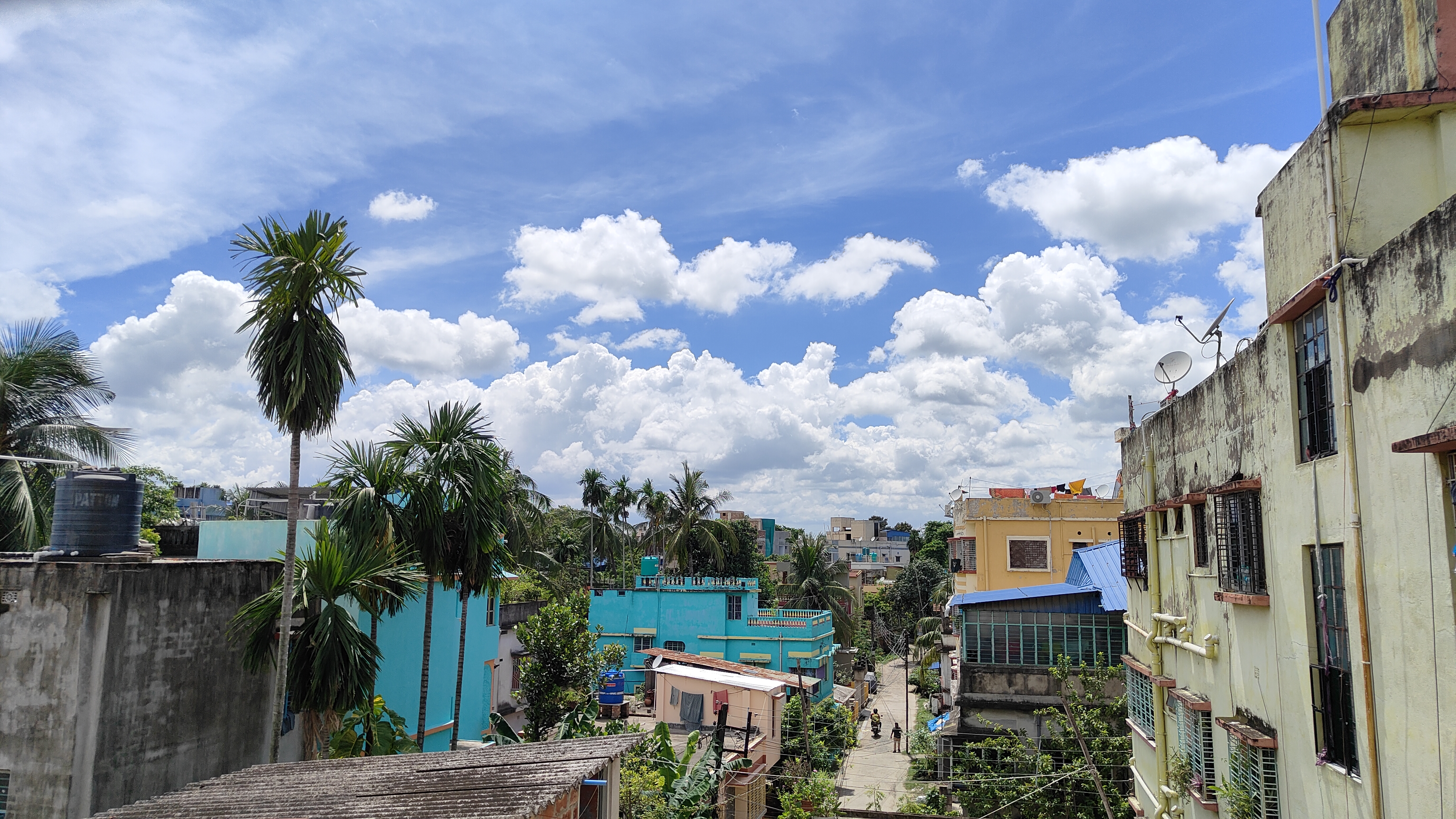 1000093087.jpg