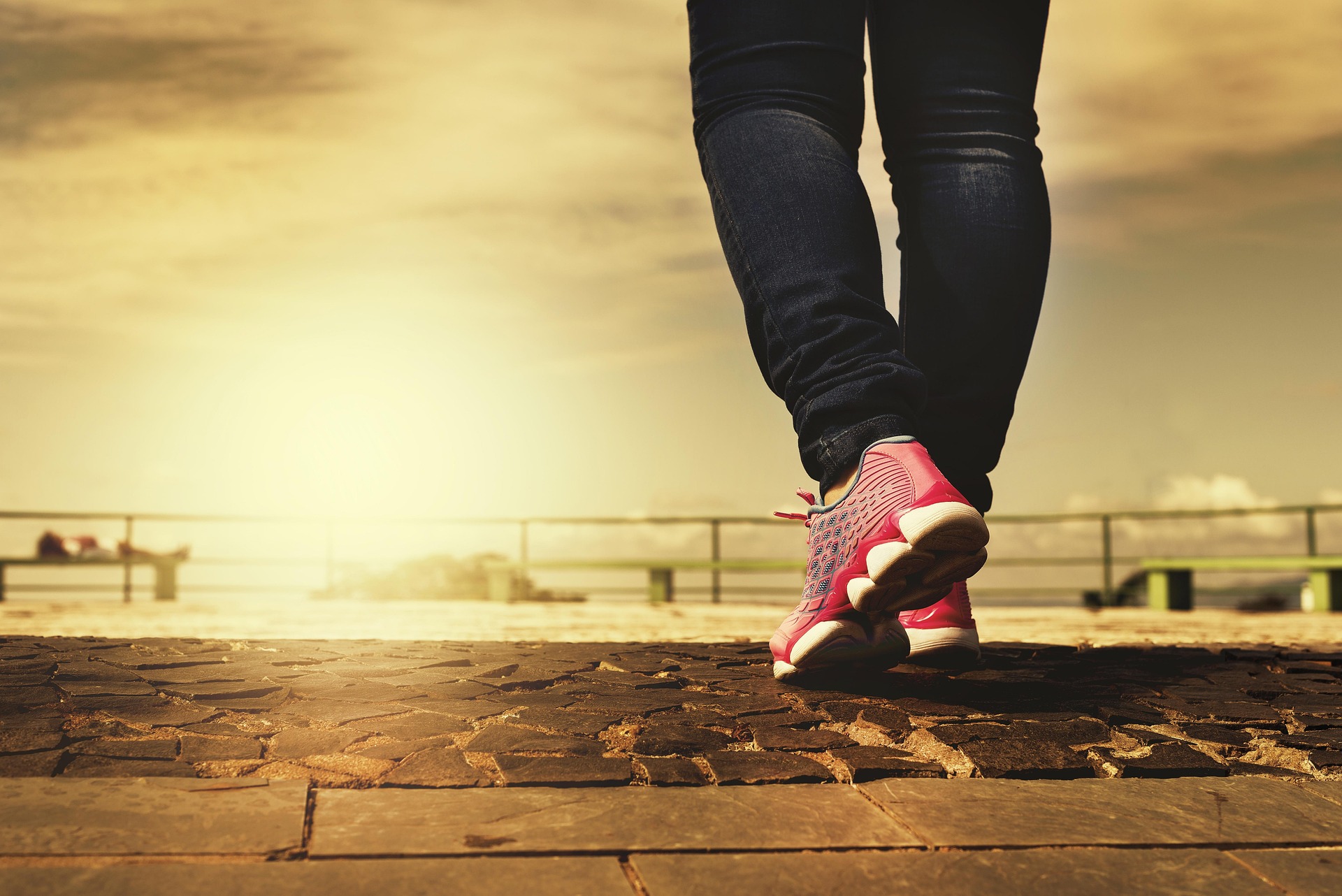 fotorech-legs-2635038_1920.jpg