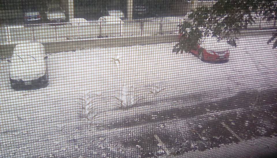 snow.jpg