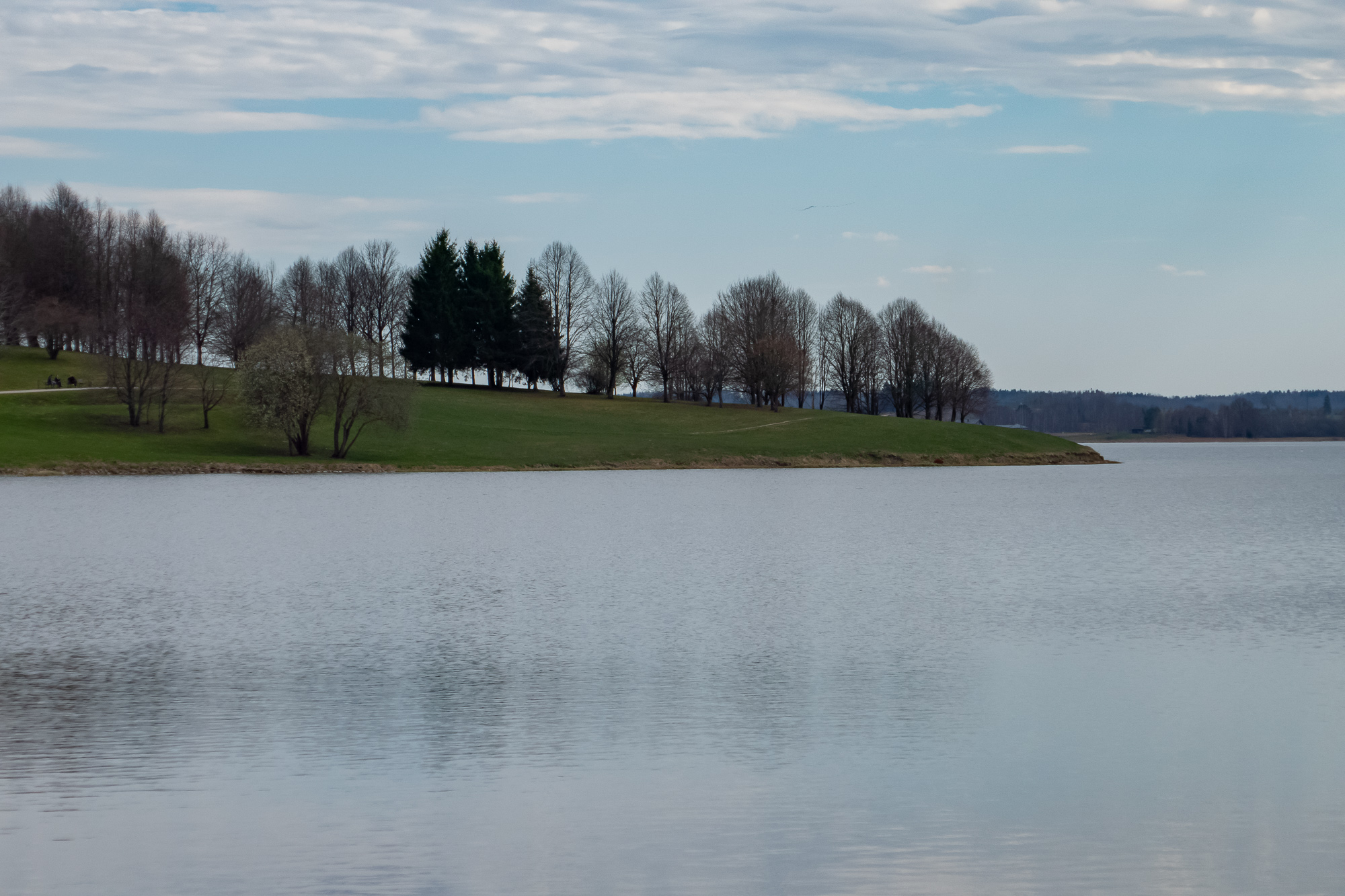 P1330116.jpg