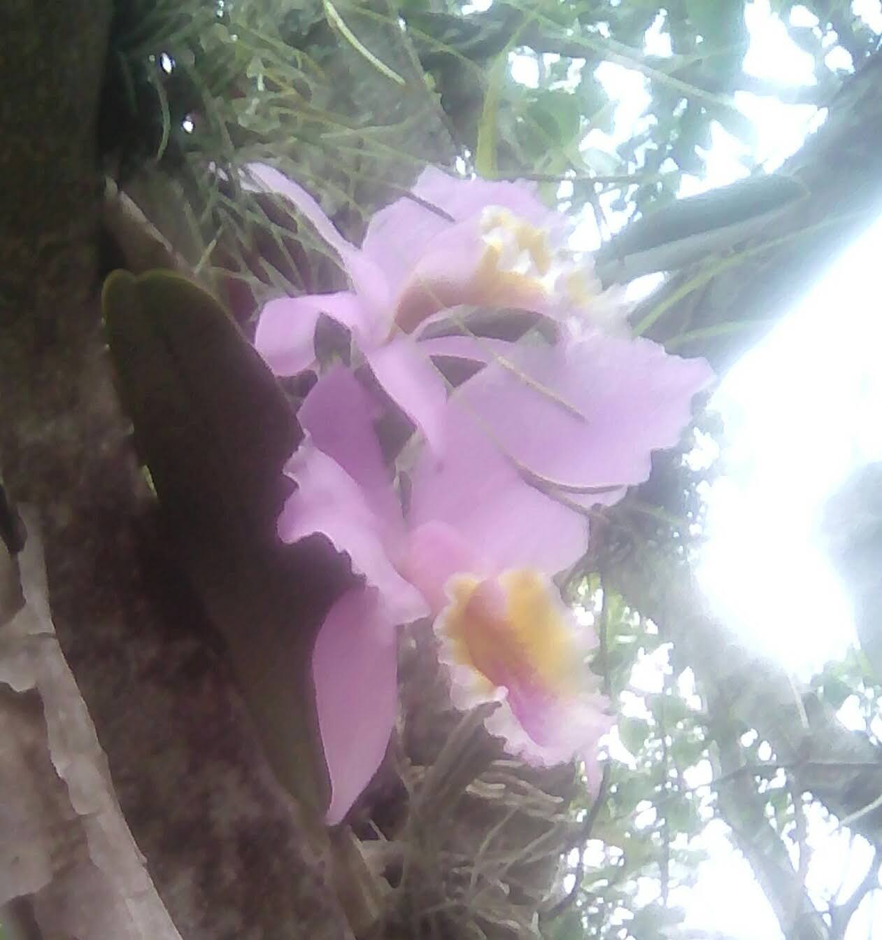 _20210110_134926.JPG