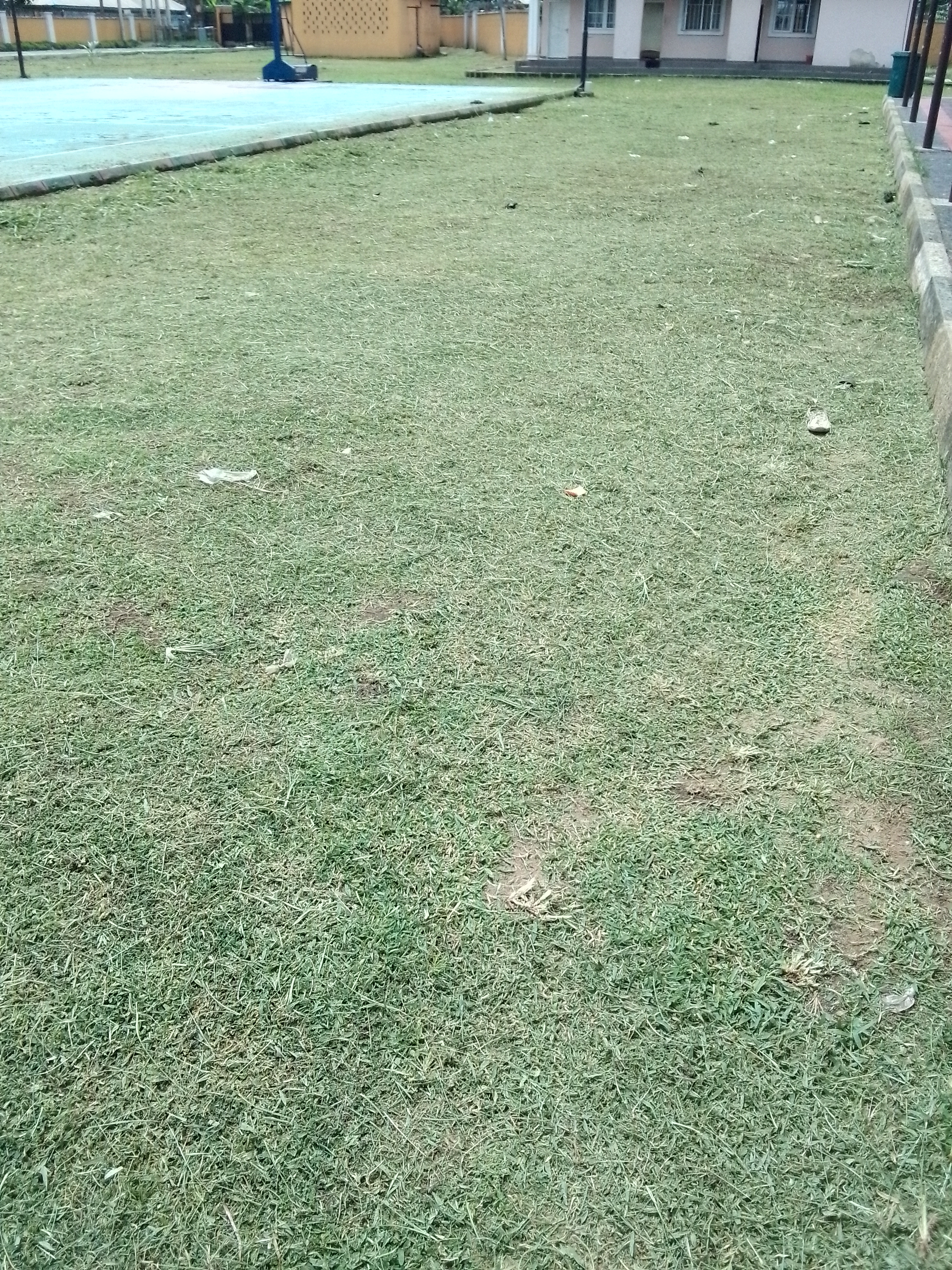 IMG_20240603_111730_134.jpg