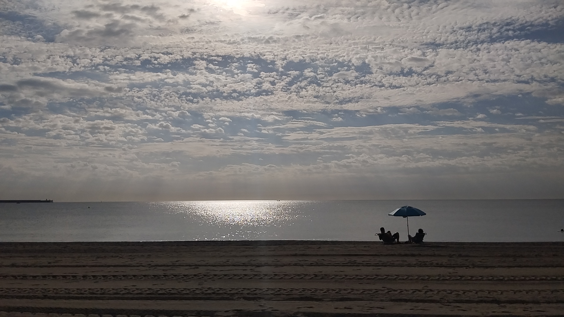 IMG_20230919_102518.jpg