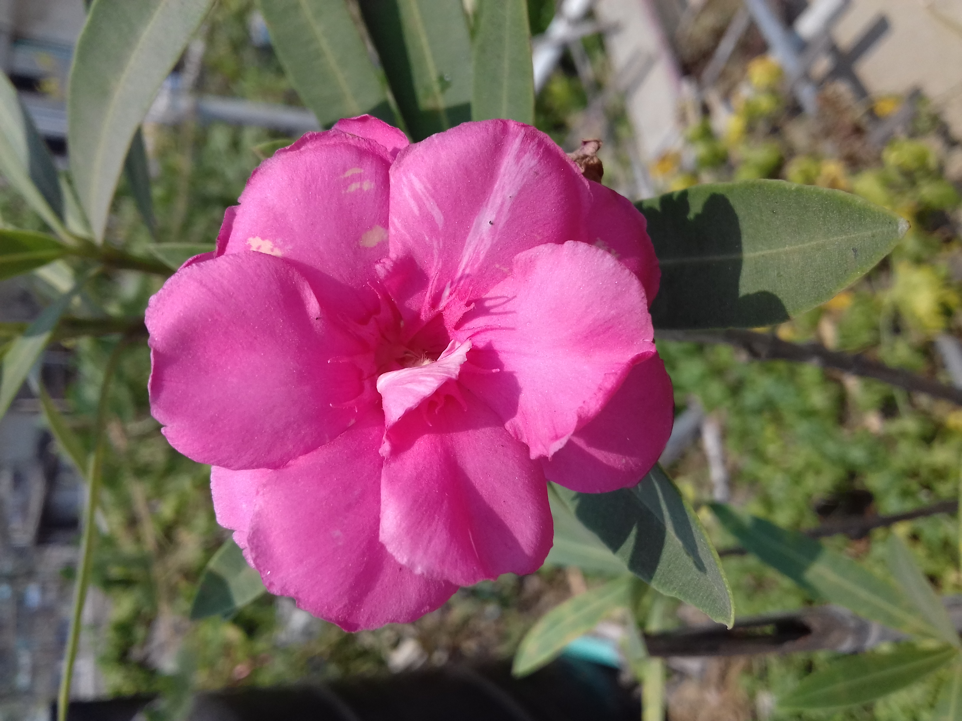 20190423_120653.jpg