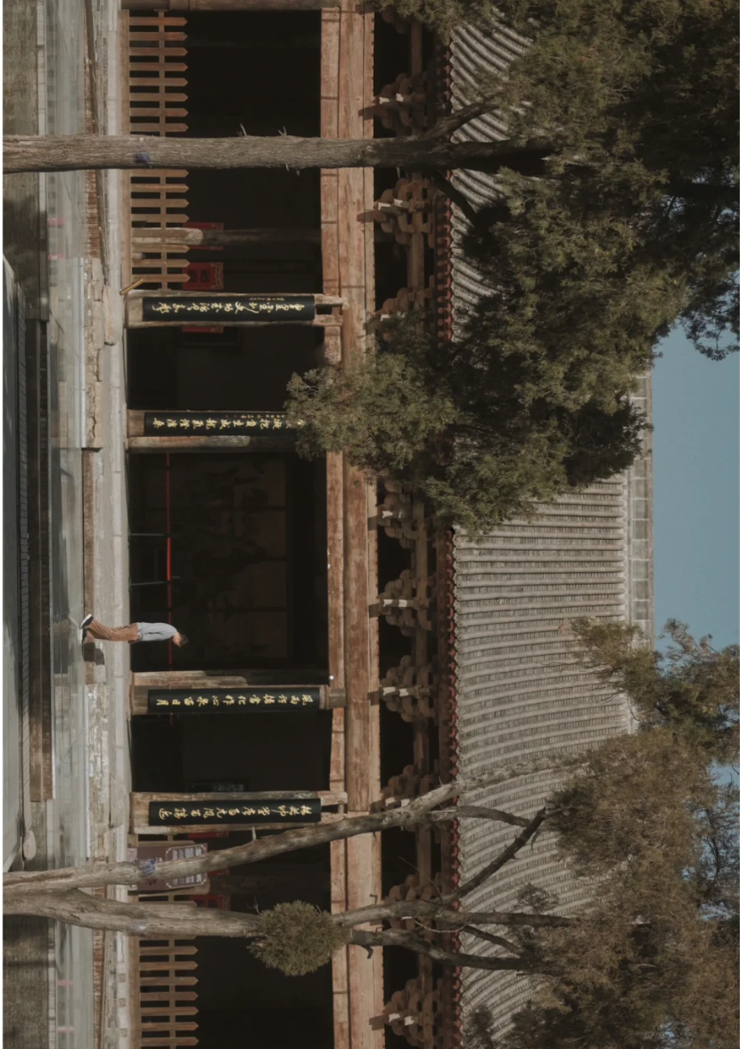 1703320109(1).png