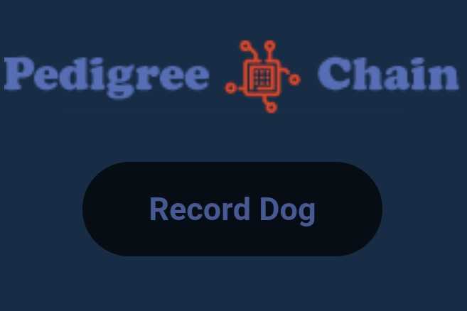 1589395570999.jpg
