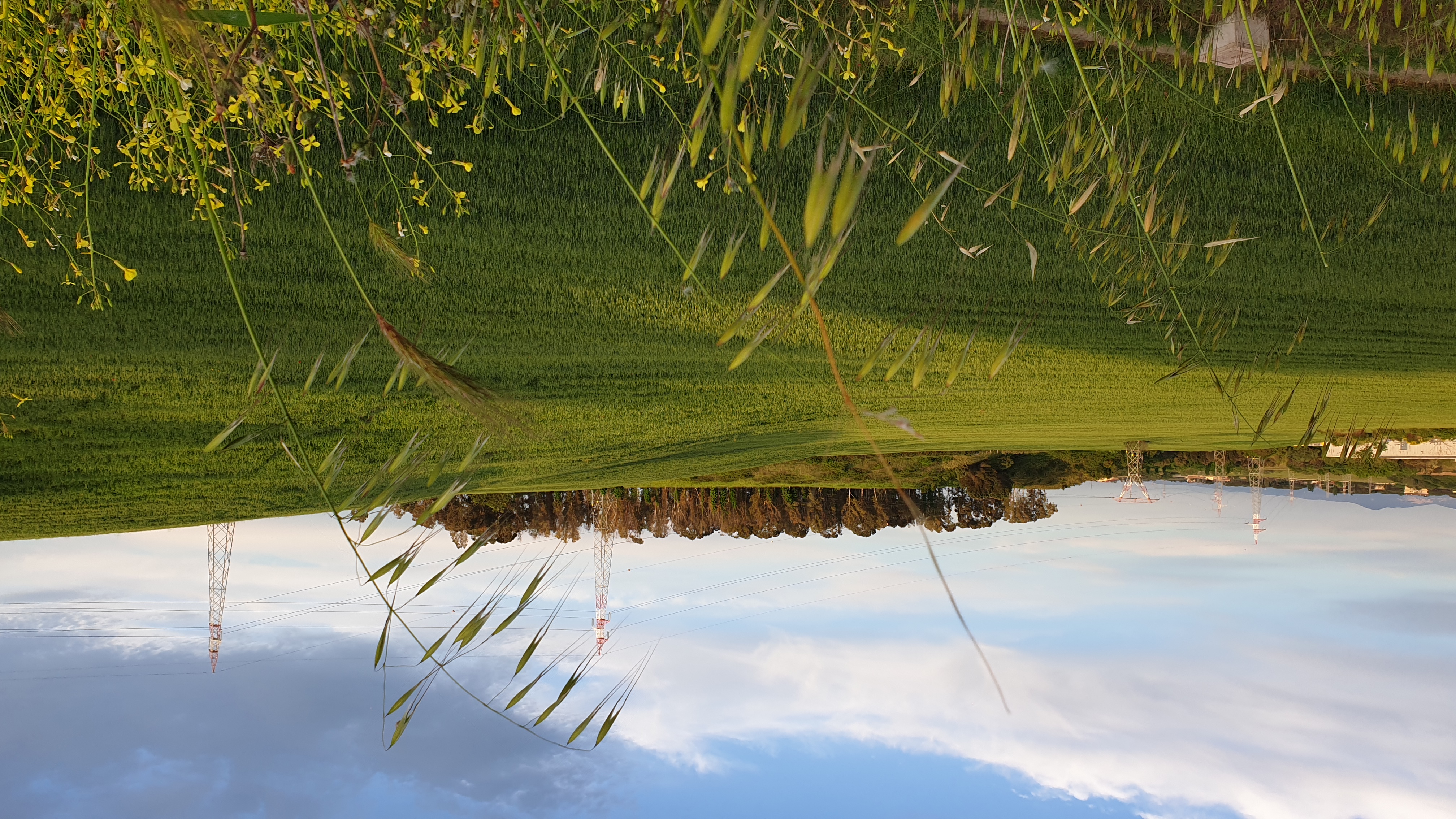 Landscape 3 .jpg