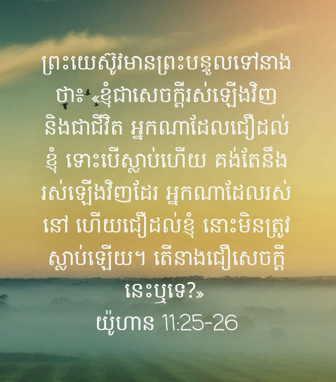 FA8DEFFA-4D4D-4F25-A761-9A1FF54C4AB1.jpeg