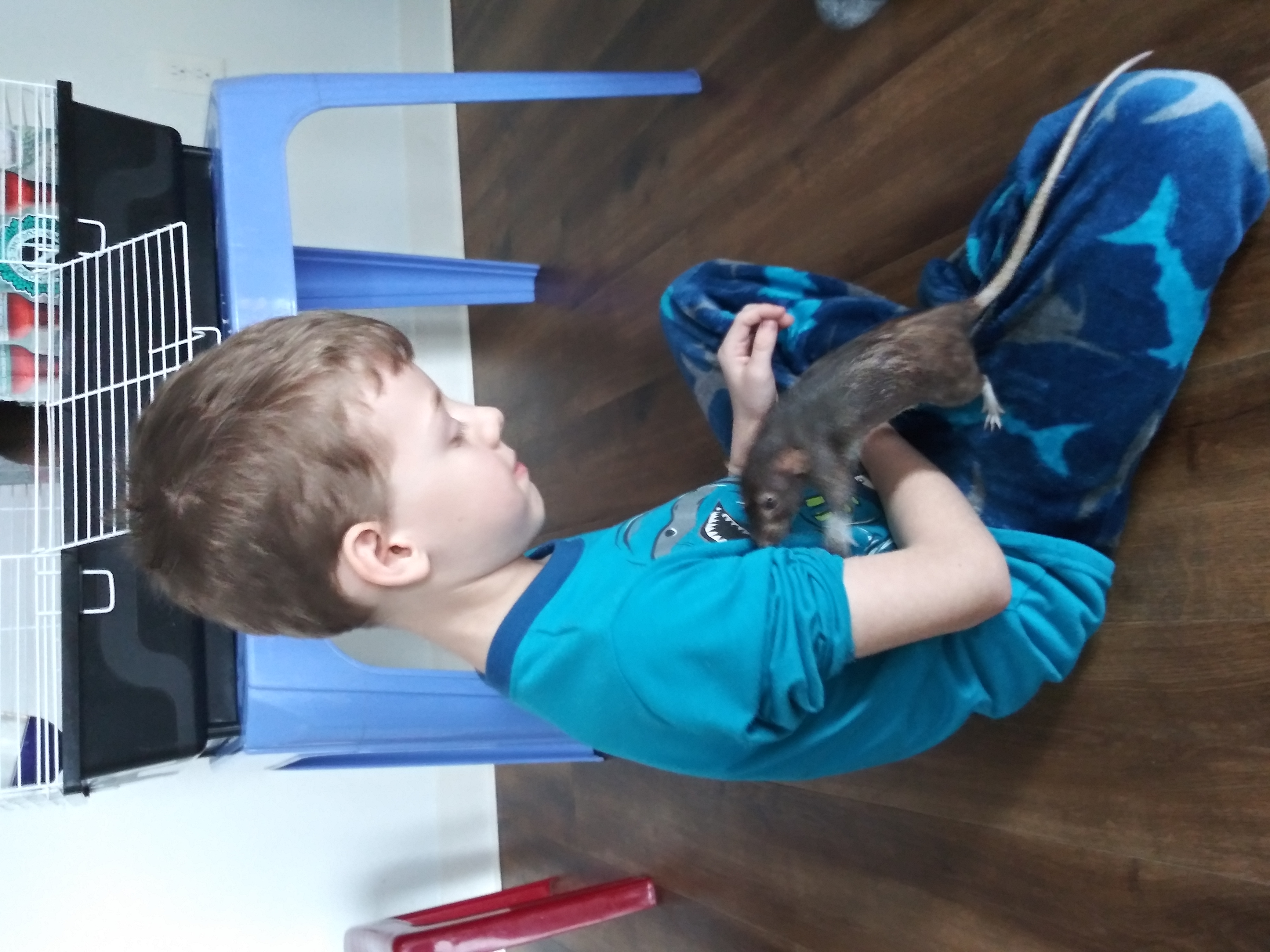20190211_134707.jpg