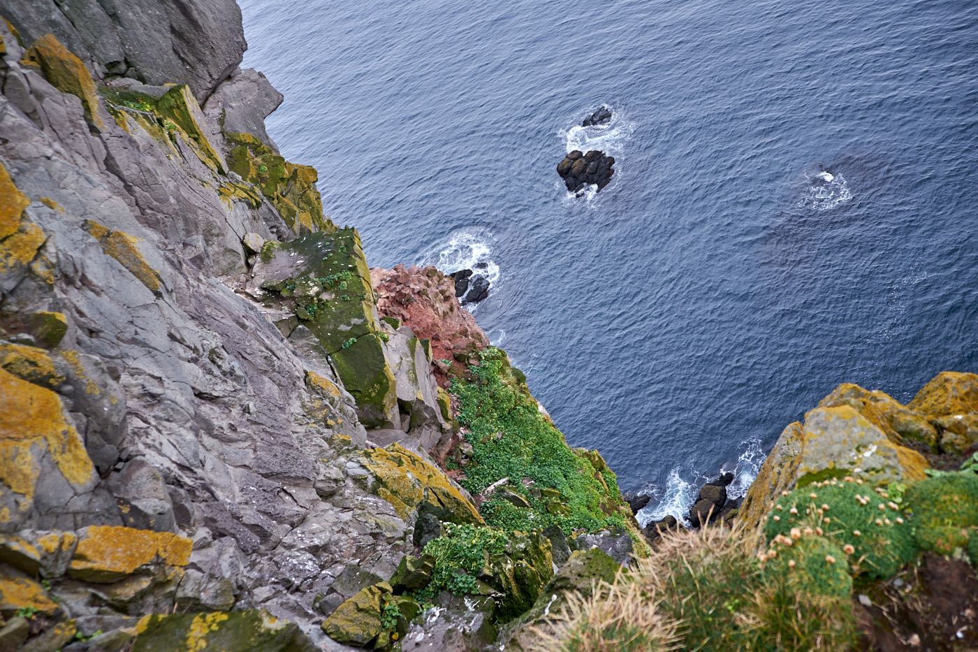 DSCF4631.jpg