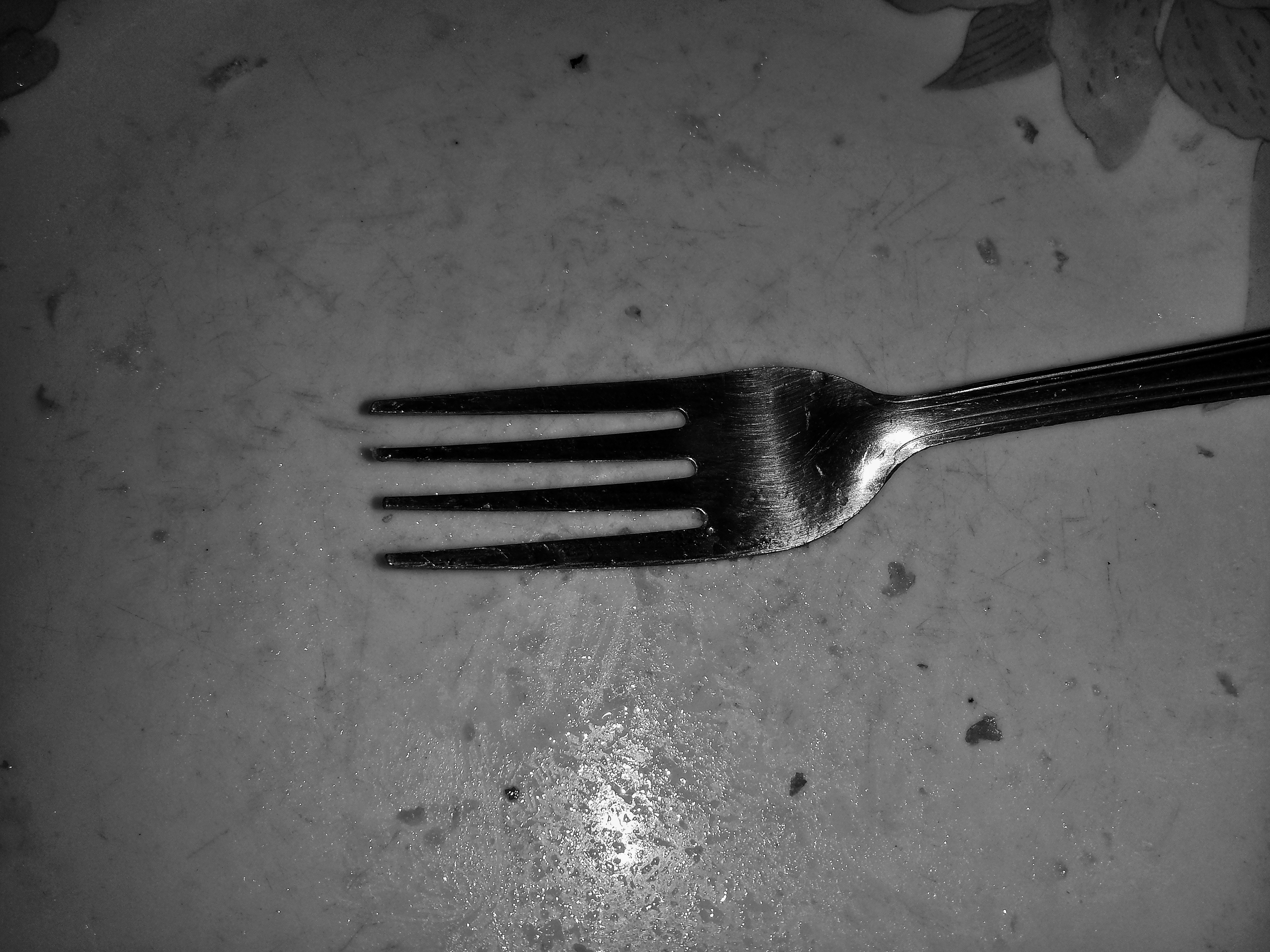 20181203_125152-01.jpeg