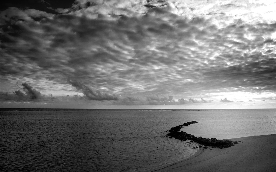 《飞鸟与夏花》每天一首自译飞鸟集（241/325） - Translate a poem from Stray Birds every day