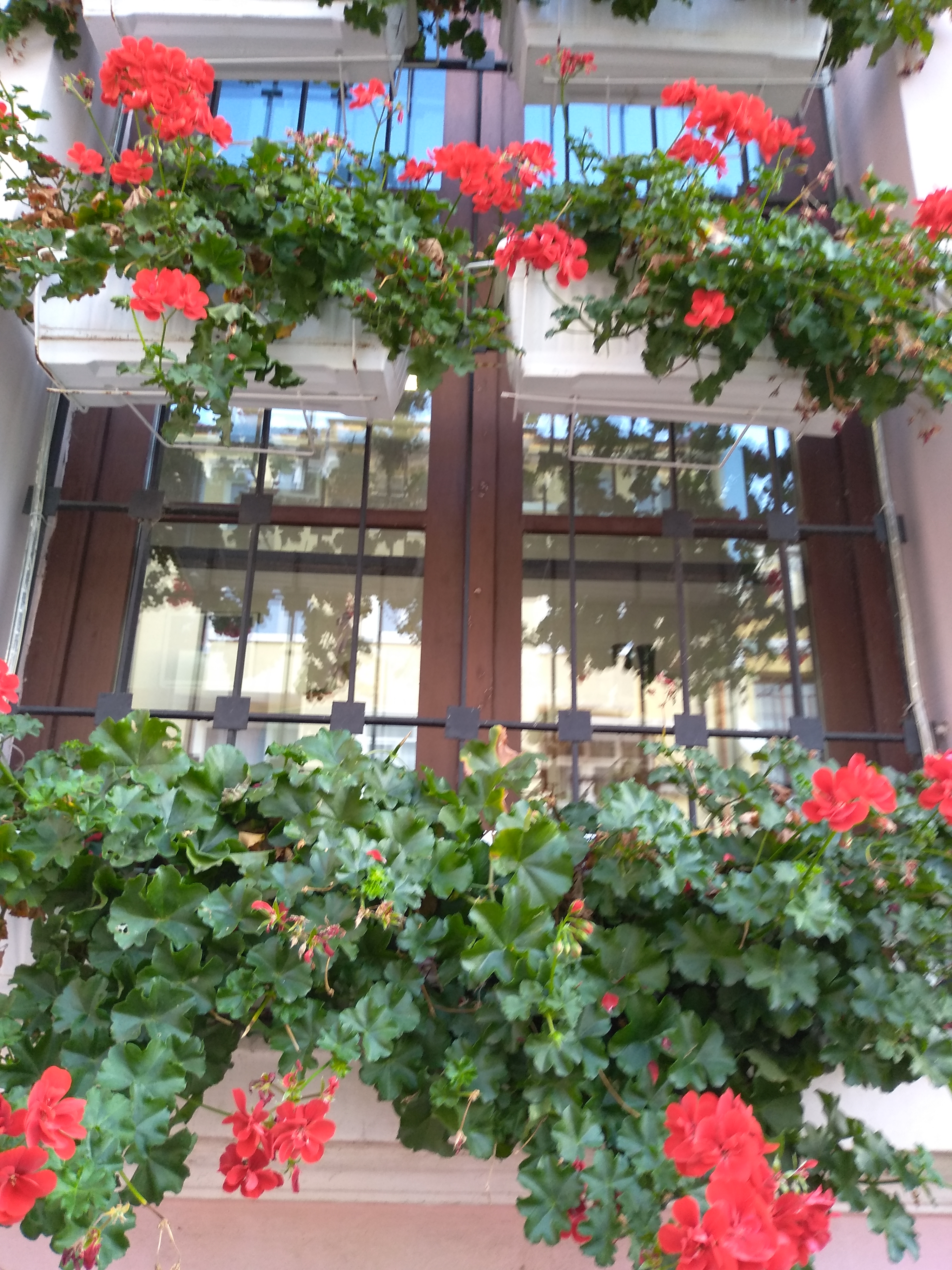 IMG_20191027_160945.jpg
