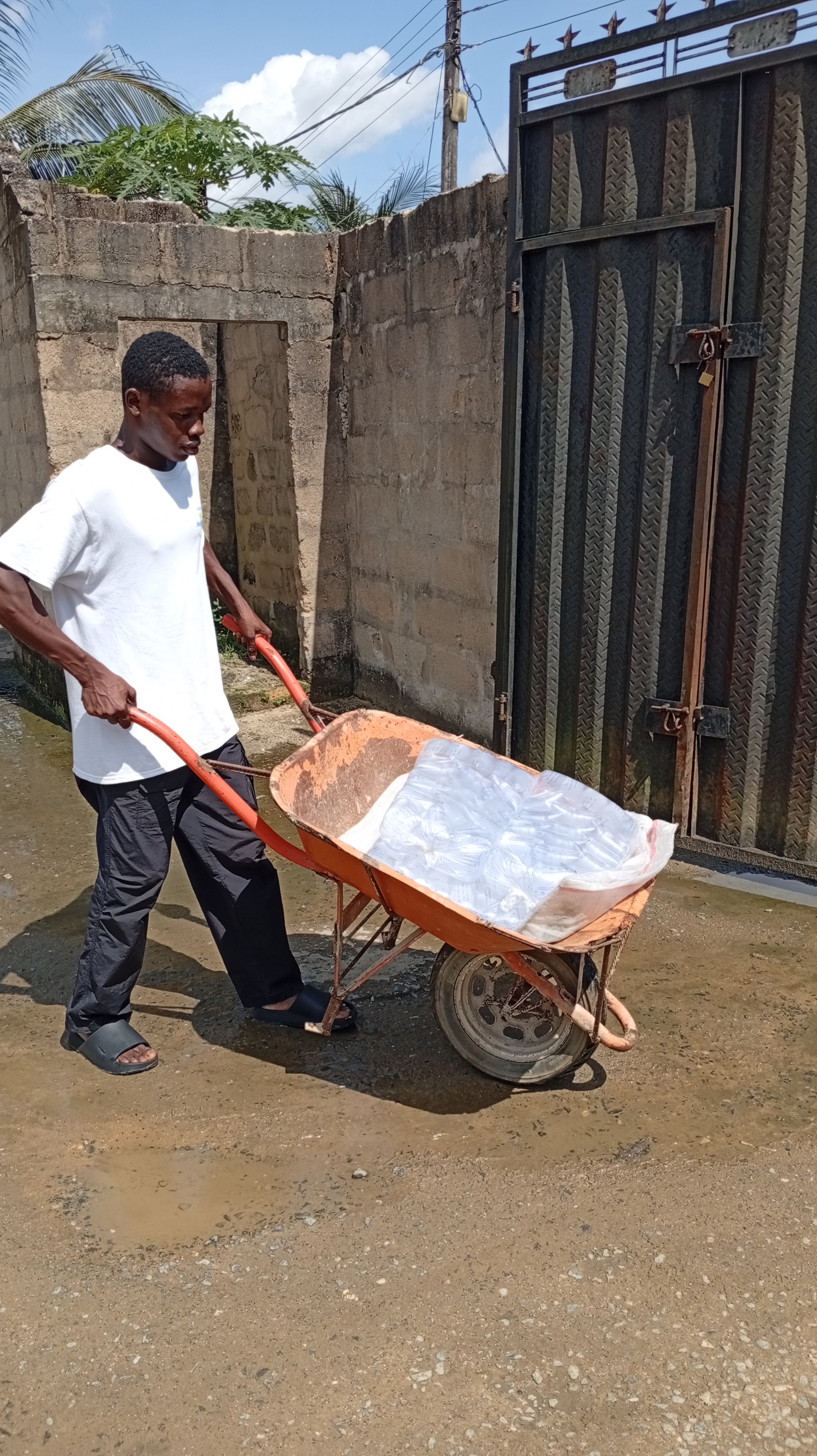 1000004537.jpg