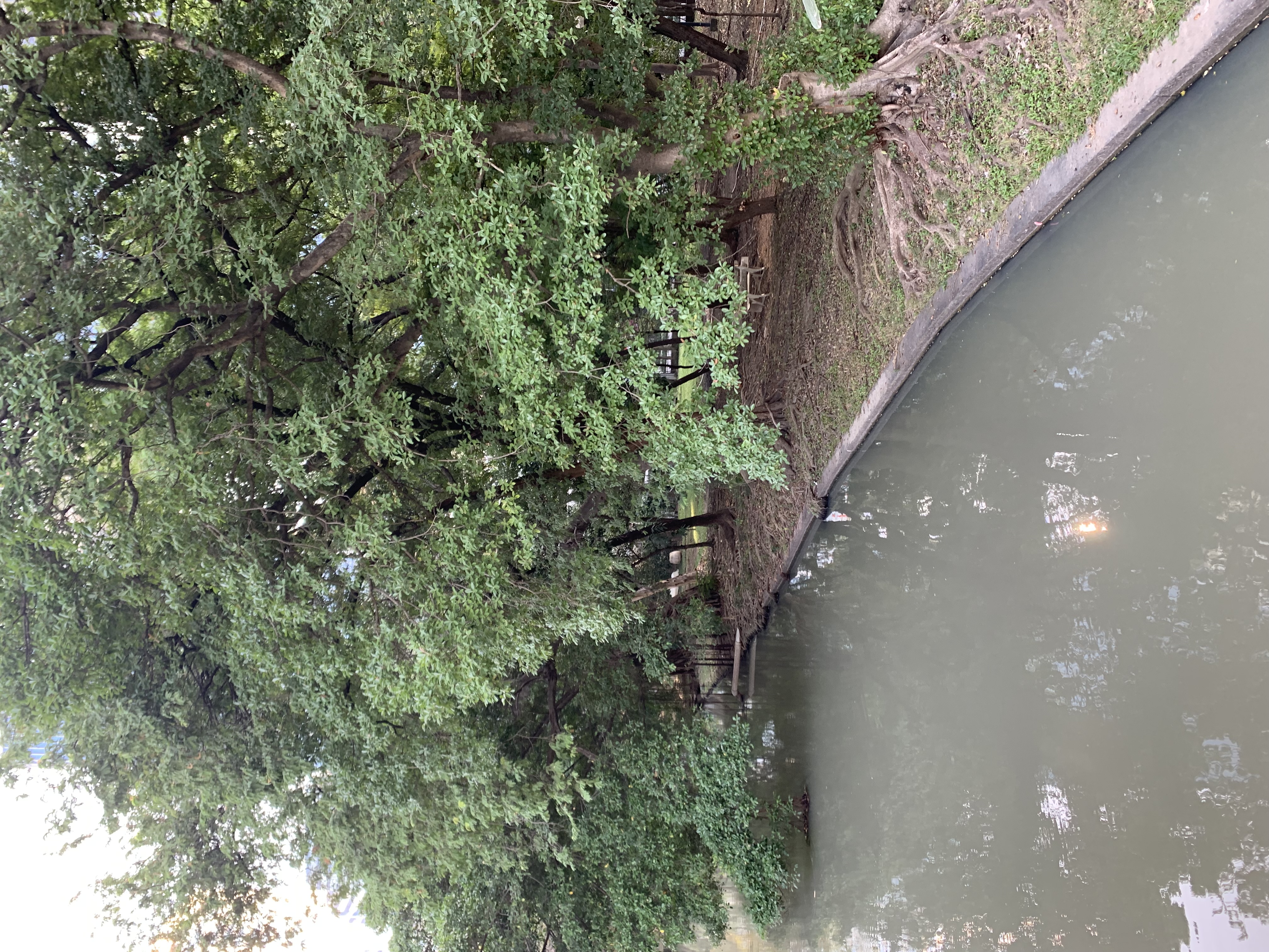 Chatuchak Park132.jpg