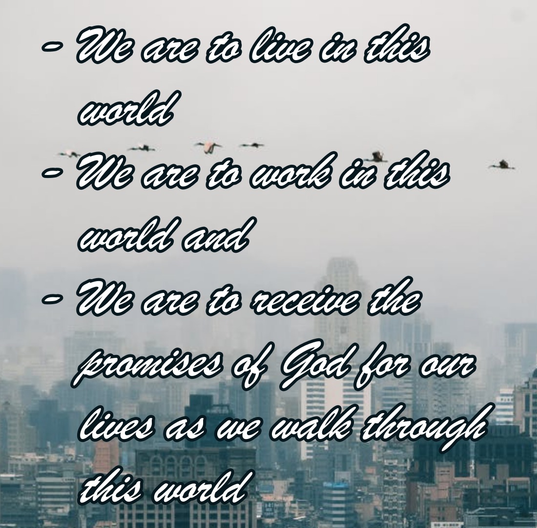in this world.jpeg