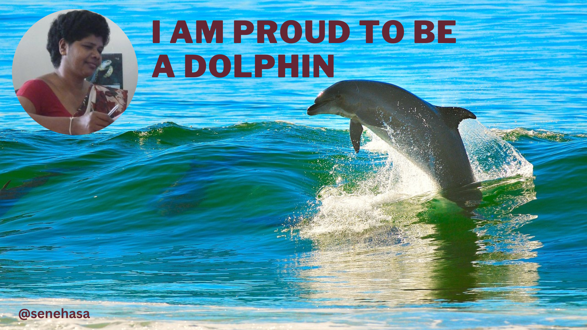 Dolphin (2).png