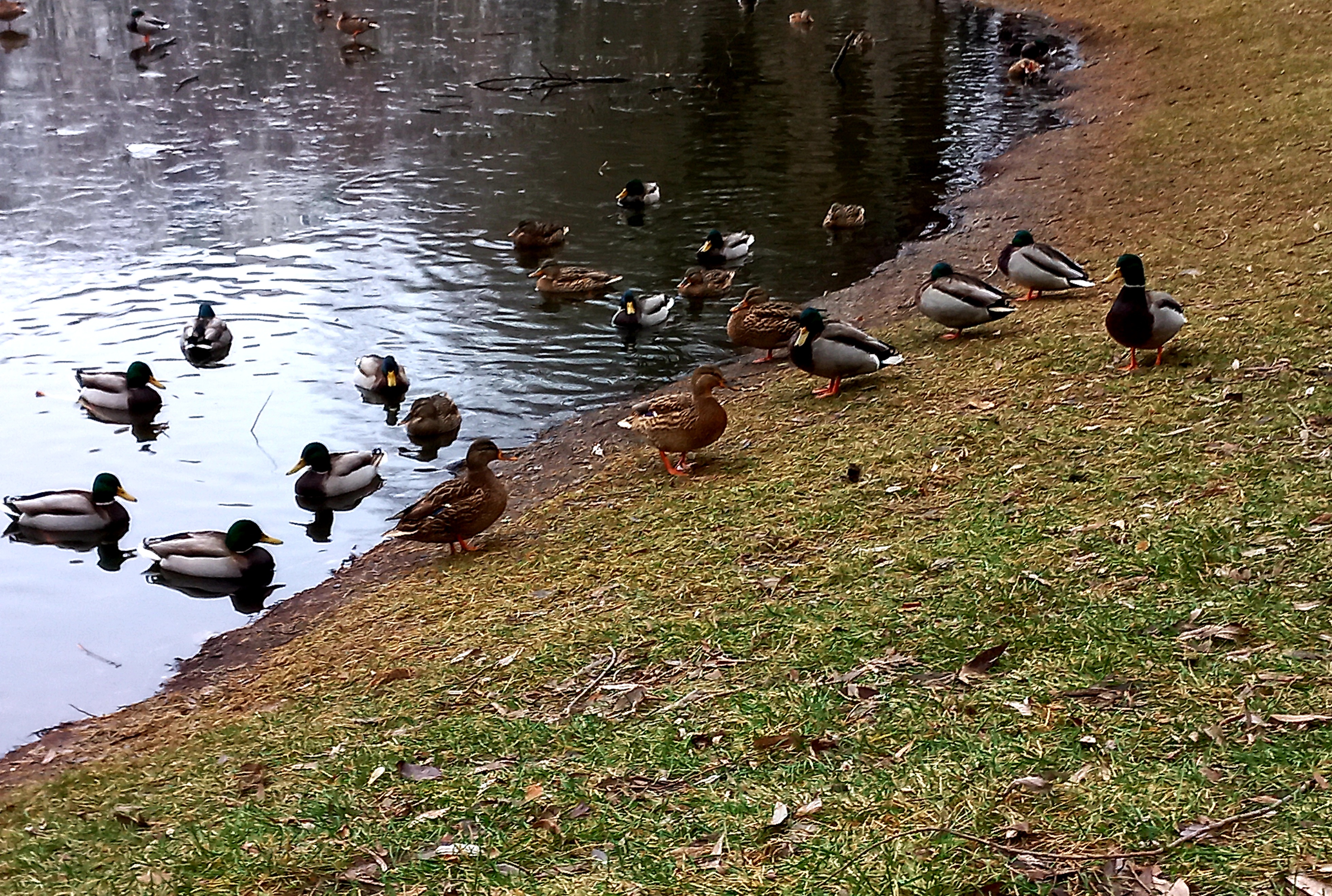 20211129_125247.jpg