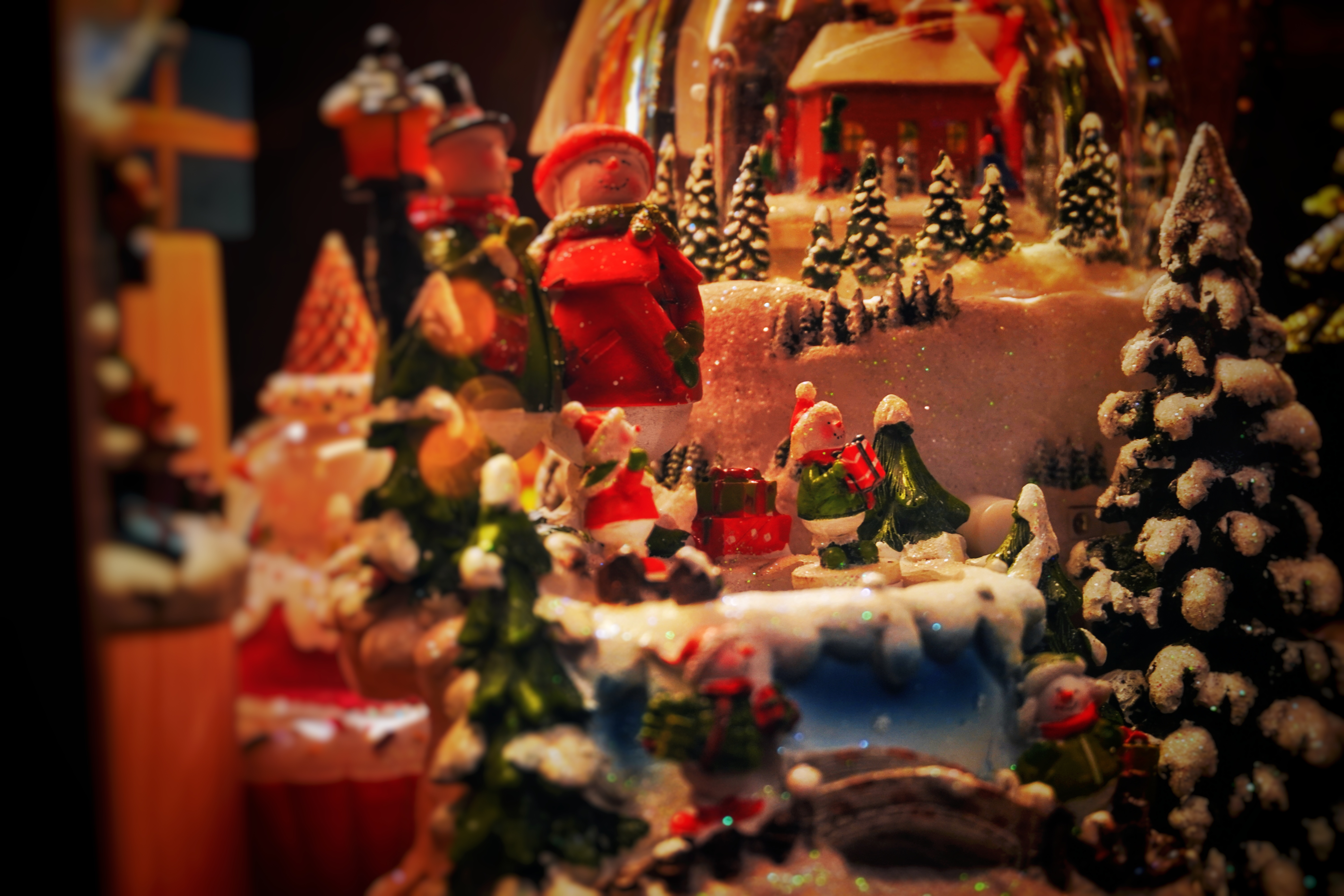 DSC02959-01.jpeg