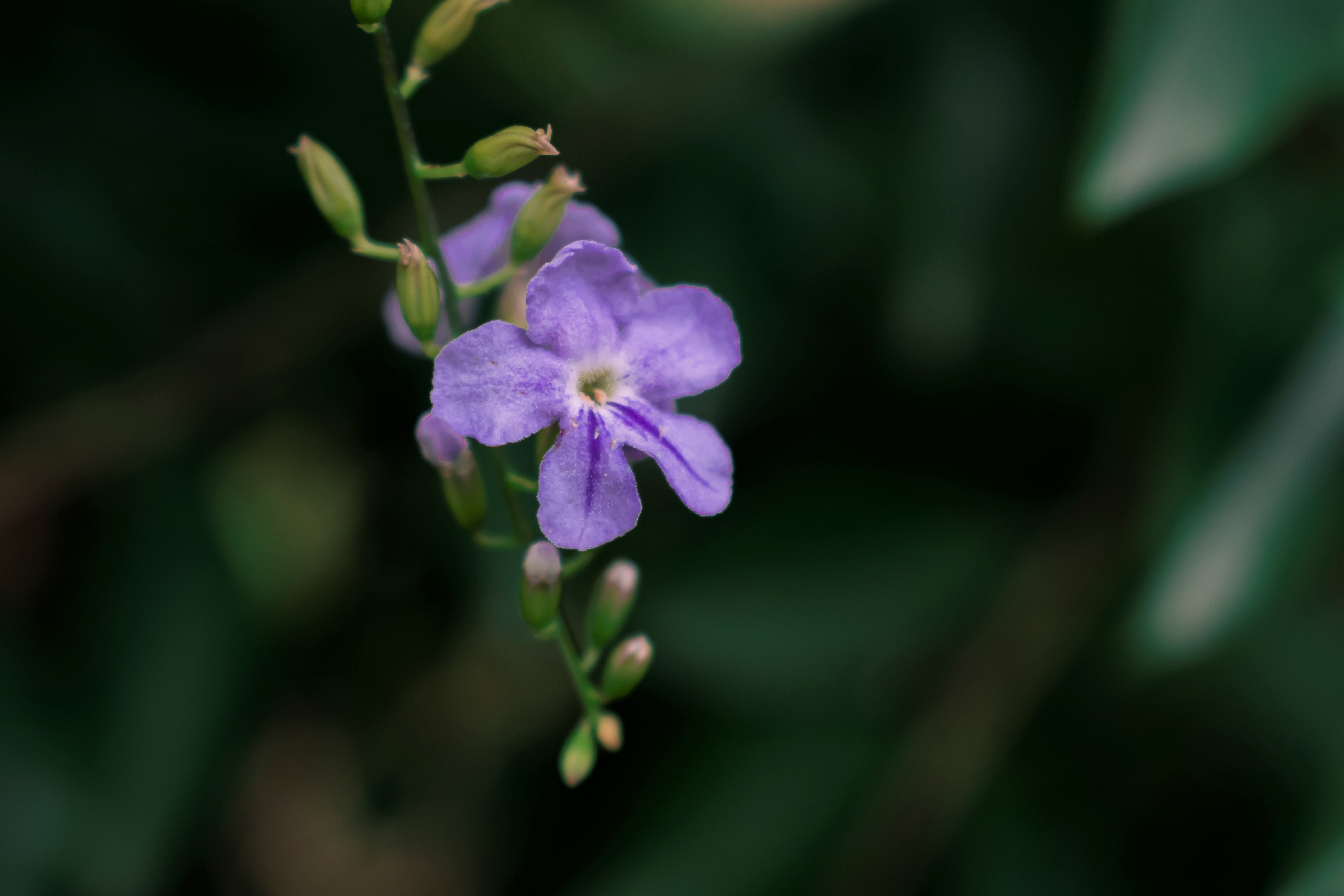 CHN_0375.jpg