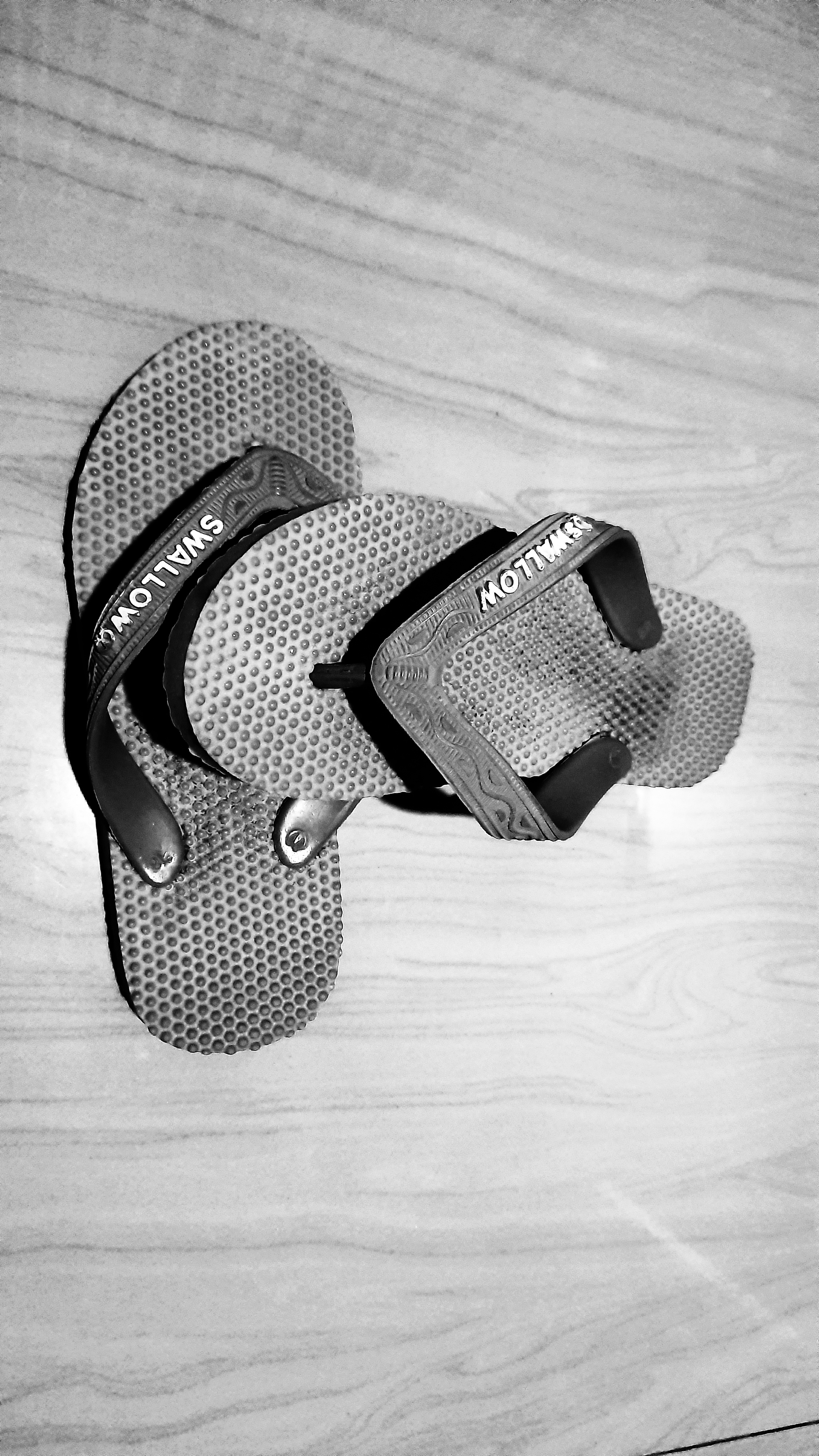 20210415_055223-01.jpeg