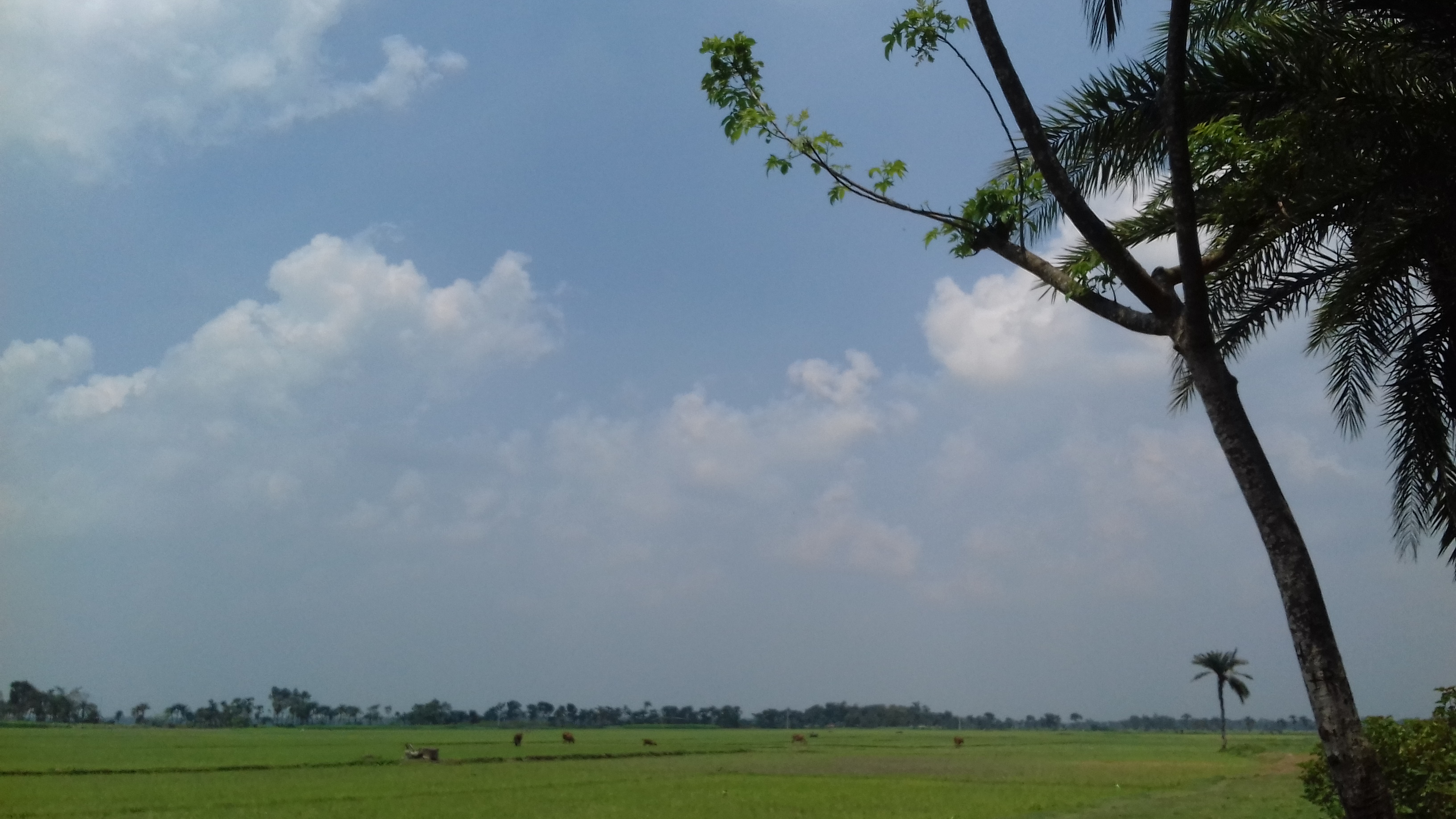 20200606_131214.jpg