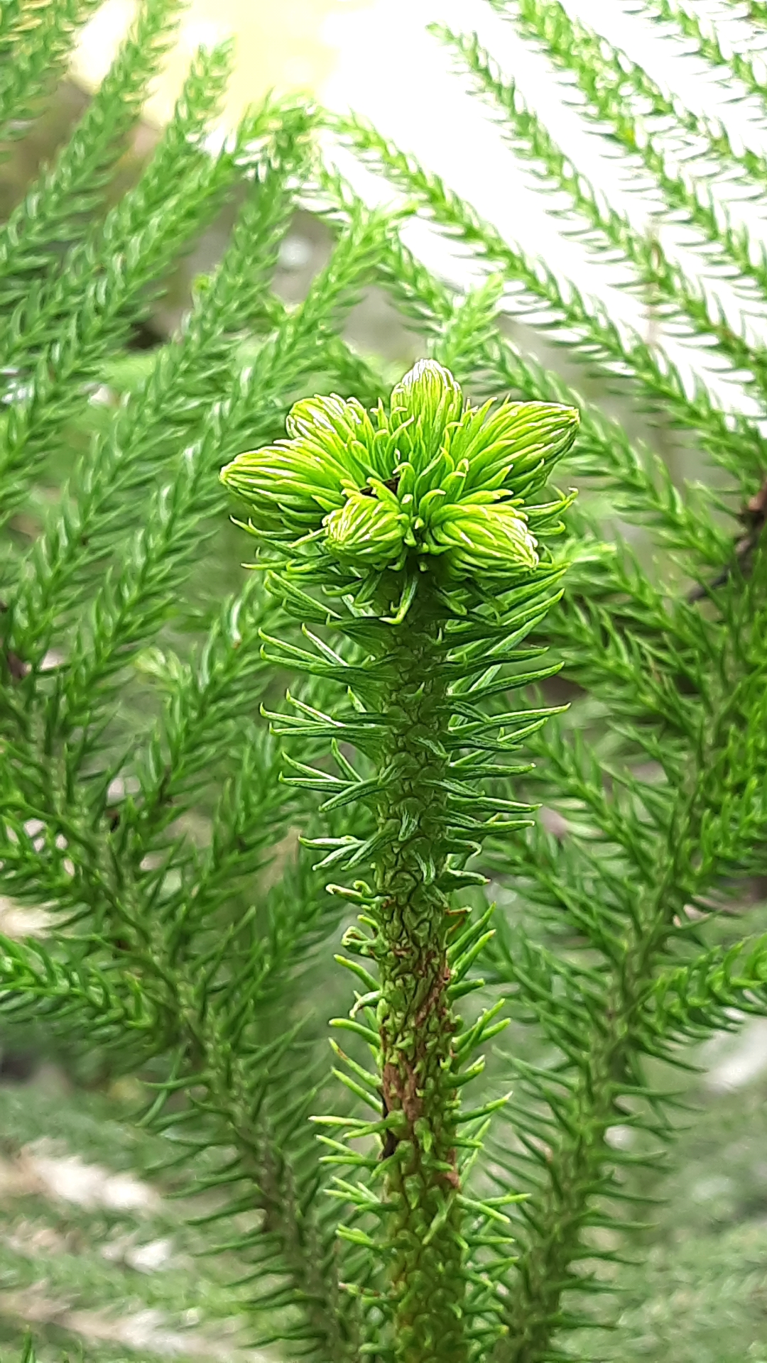 20201025_104923.jpg