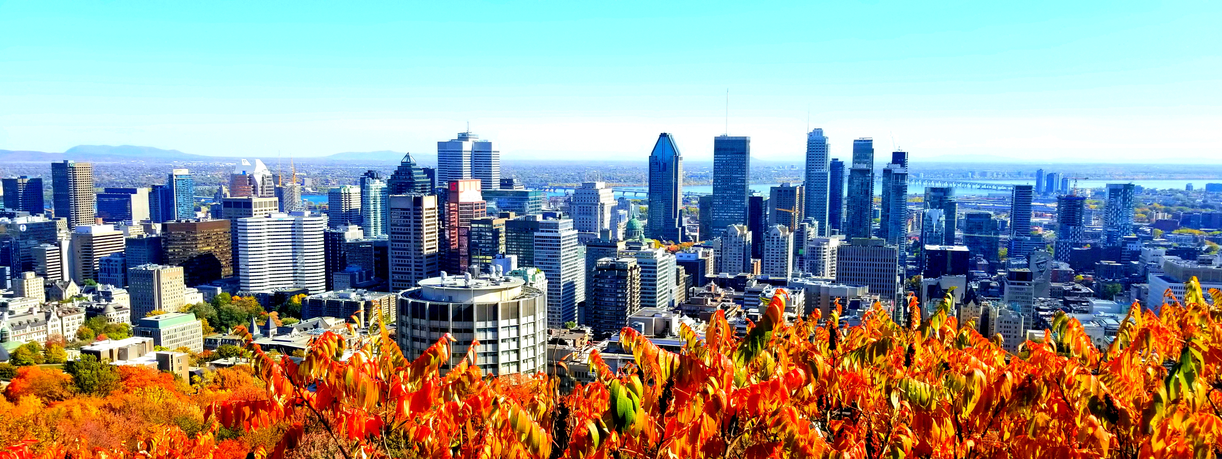 20220115_002530.jpg