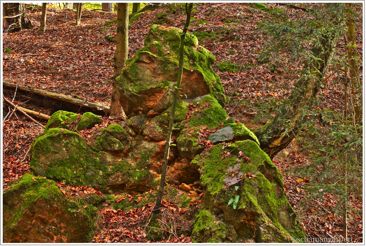 IMG_9459-hdr.jpg