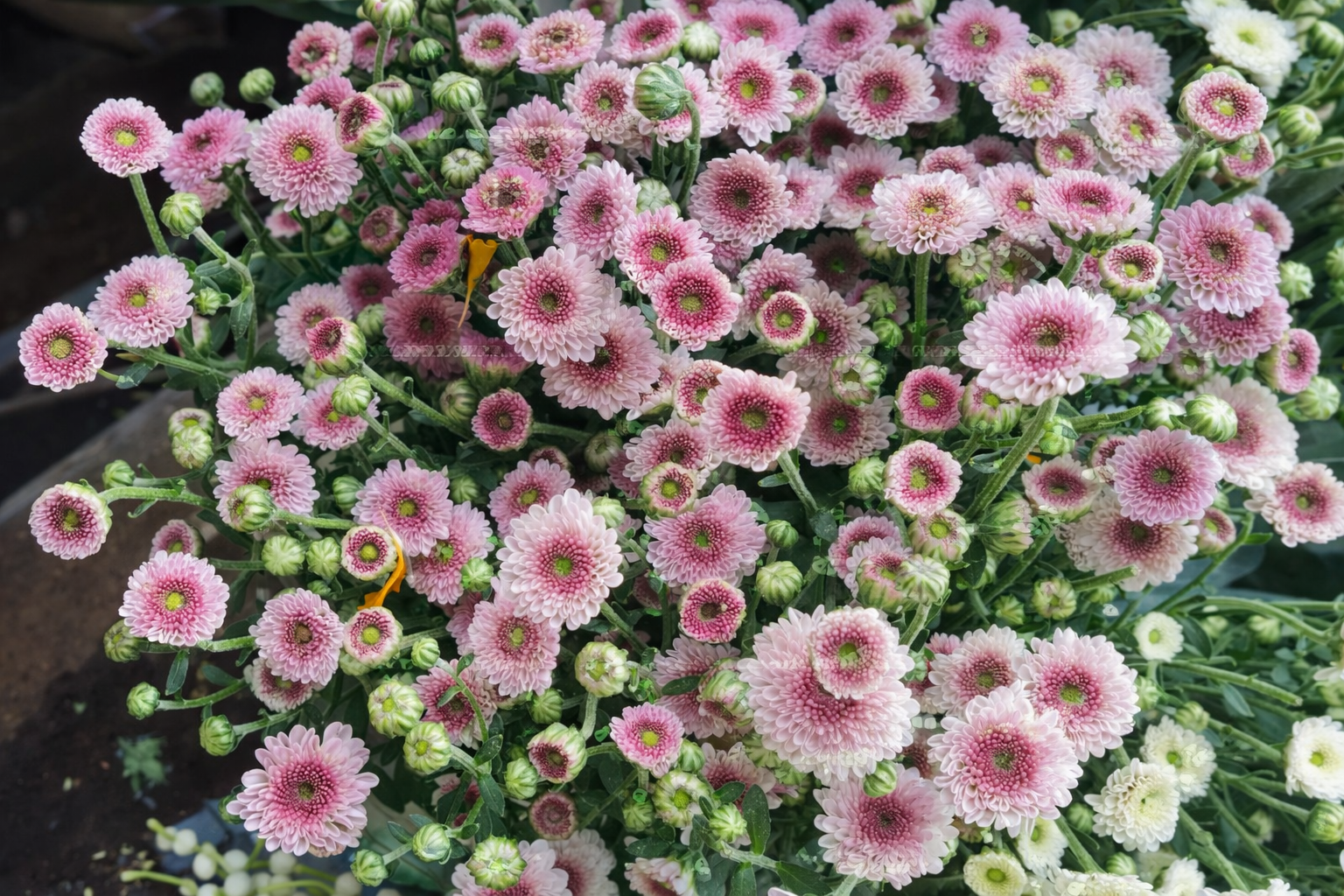 file_00000000f8607208bee28620d4e1c089.png