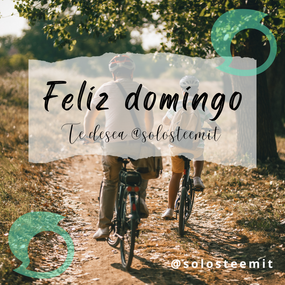 POST PARA SoloSteemit.png