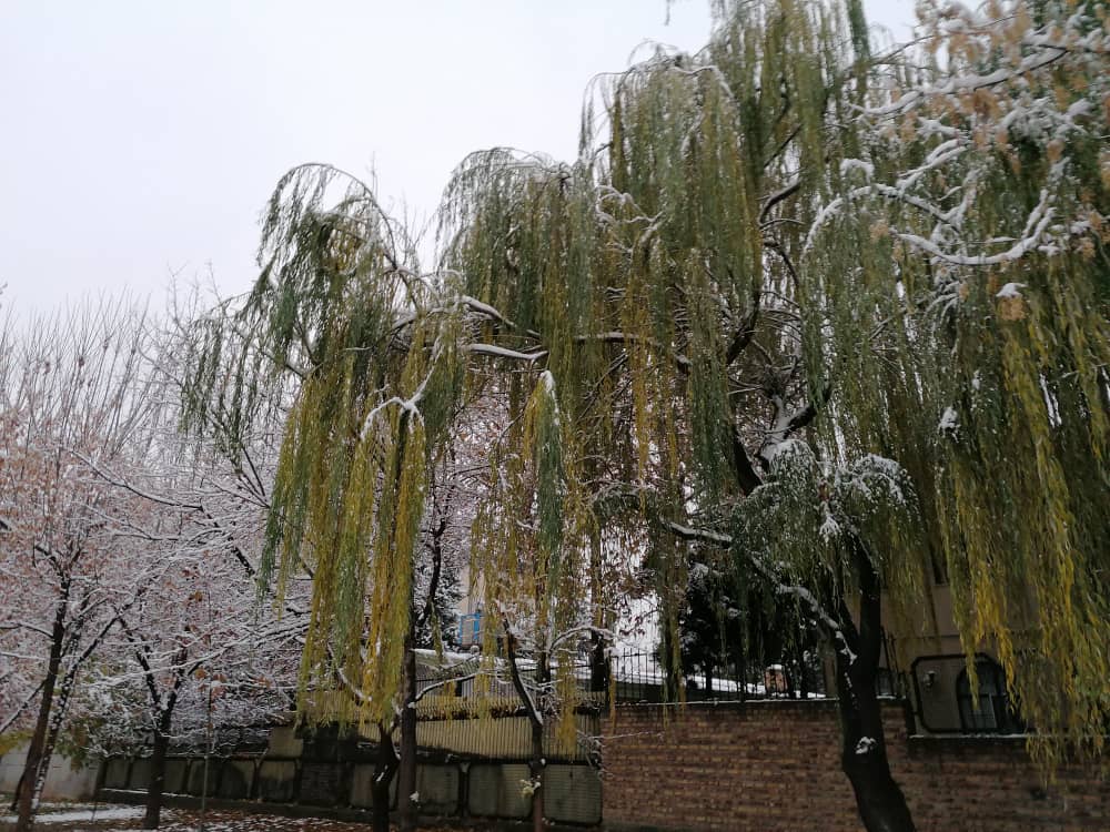 imagepark123 (15).jpeg