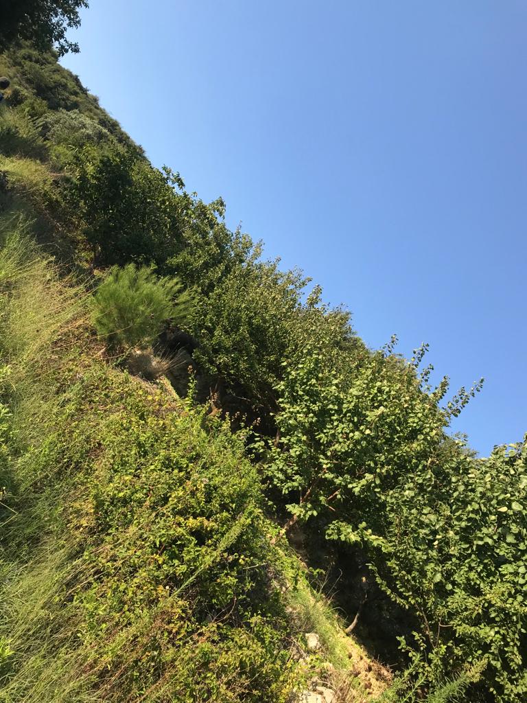 WhatsApp Image 2023-12-12 at 17.28.46 (1).jpeg