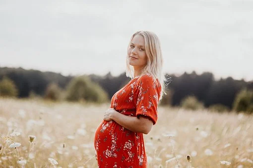 pregnancy-5098881__340.webp