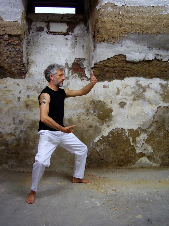 tai-chi-1235273_960_720.jpg