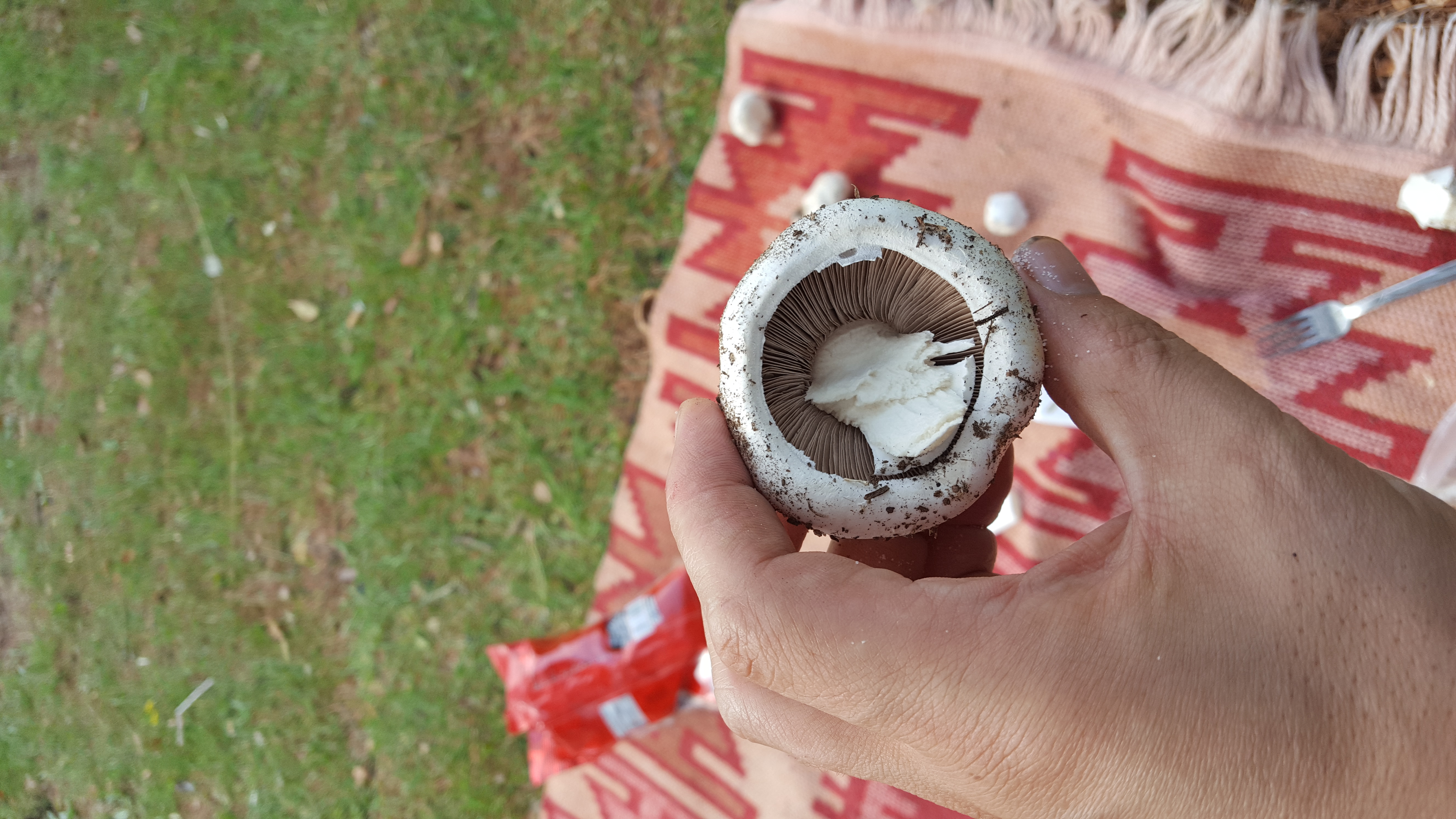 20181014_143807.jpg