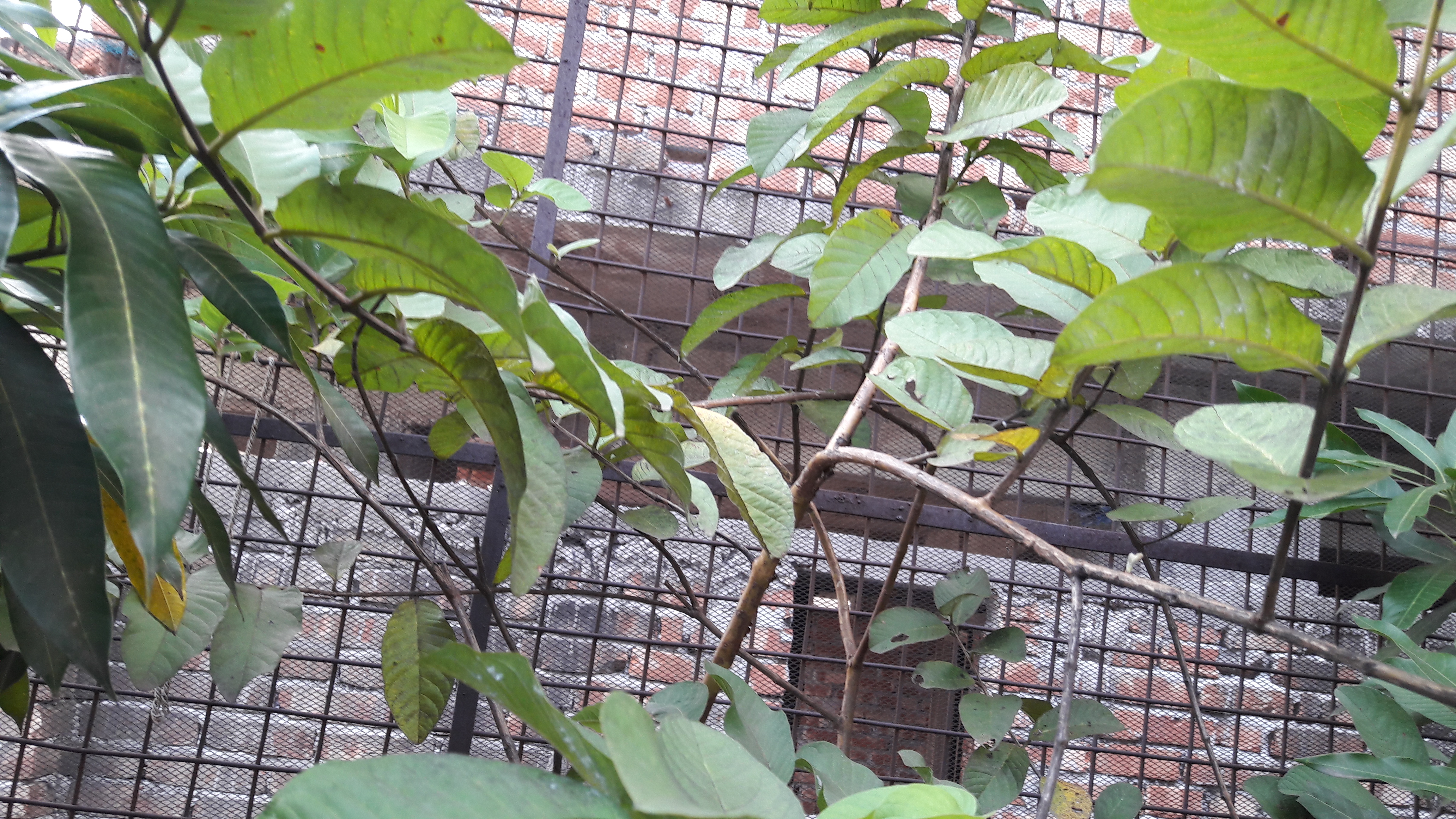 20180904_124517.jpg