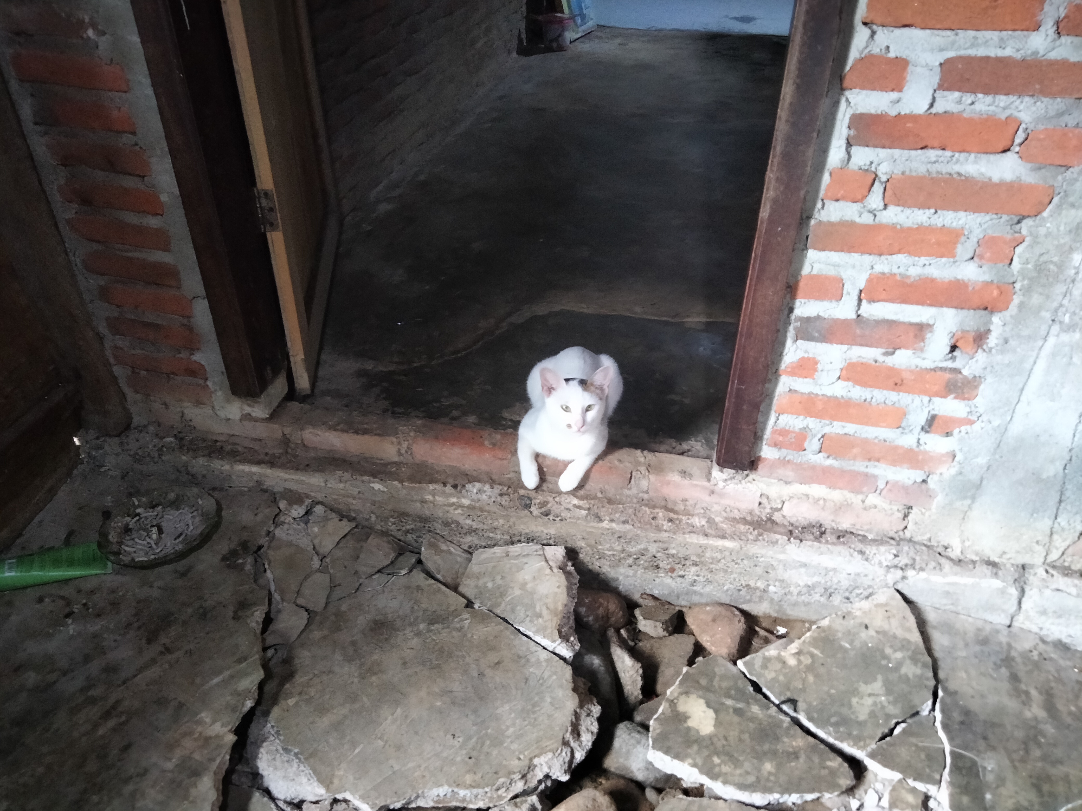 IMG20260918162245.jpg