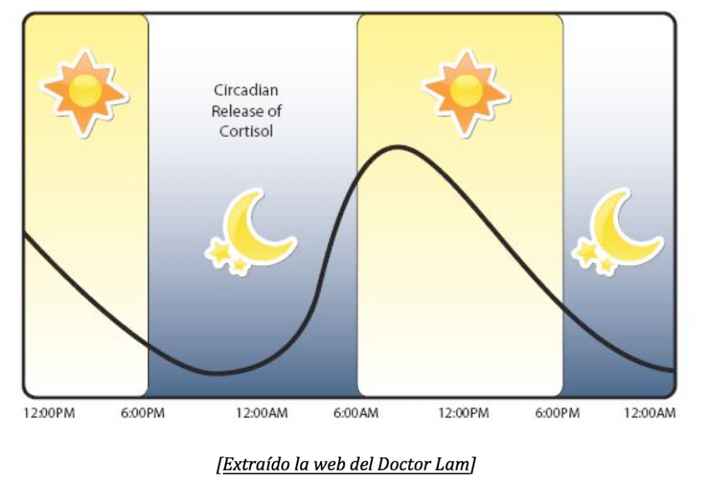 ciclo-1024x701.png