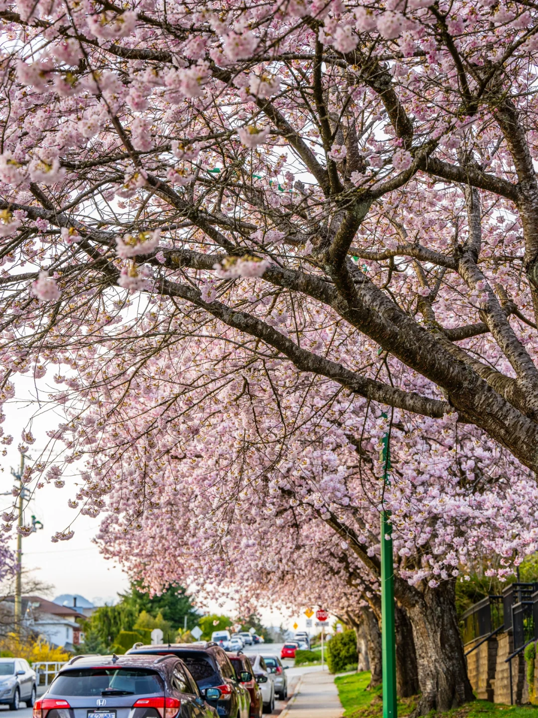 192.webp