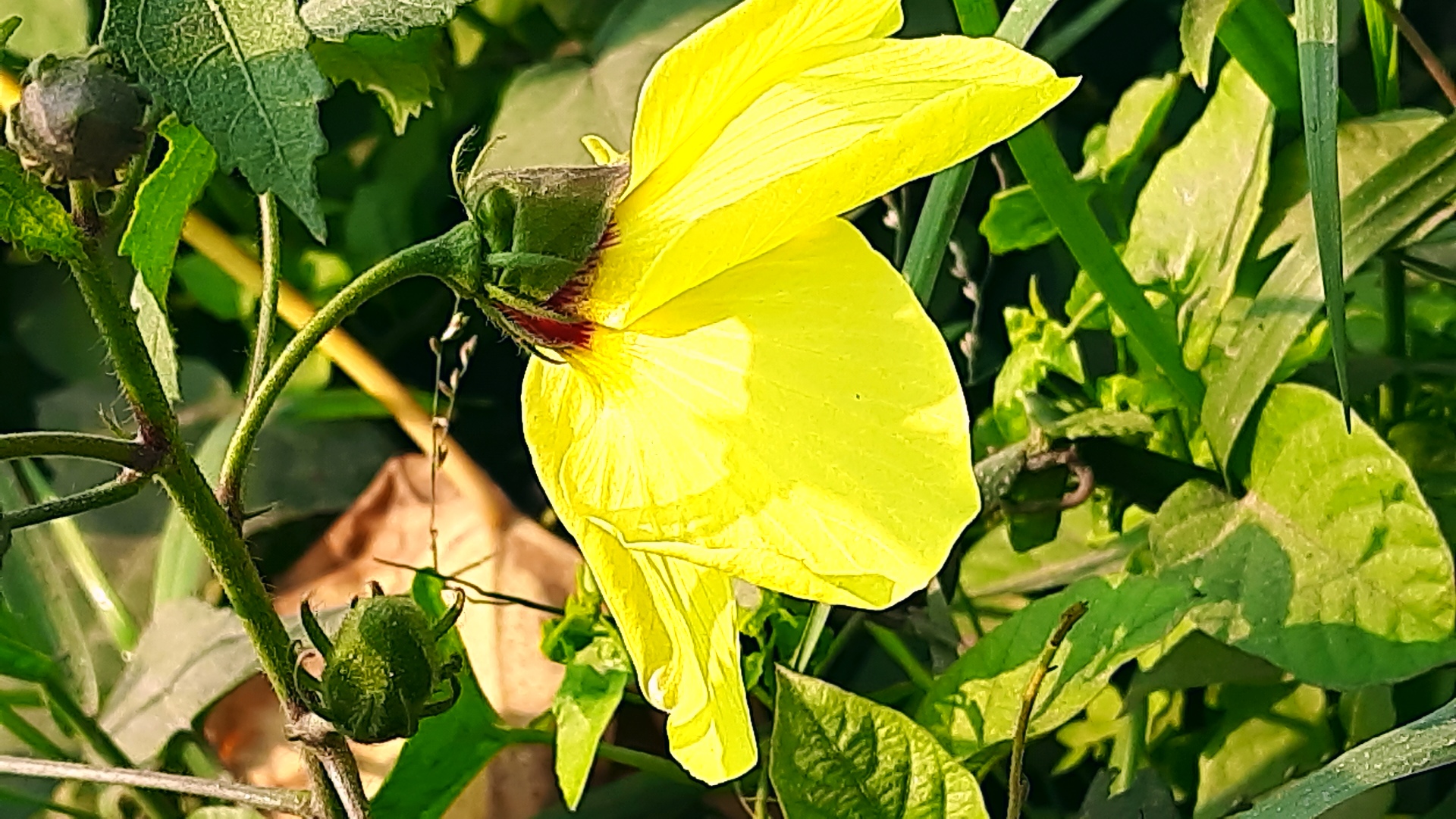 20201203_101650_edit_243185417467544.jpg