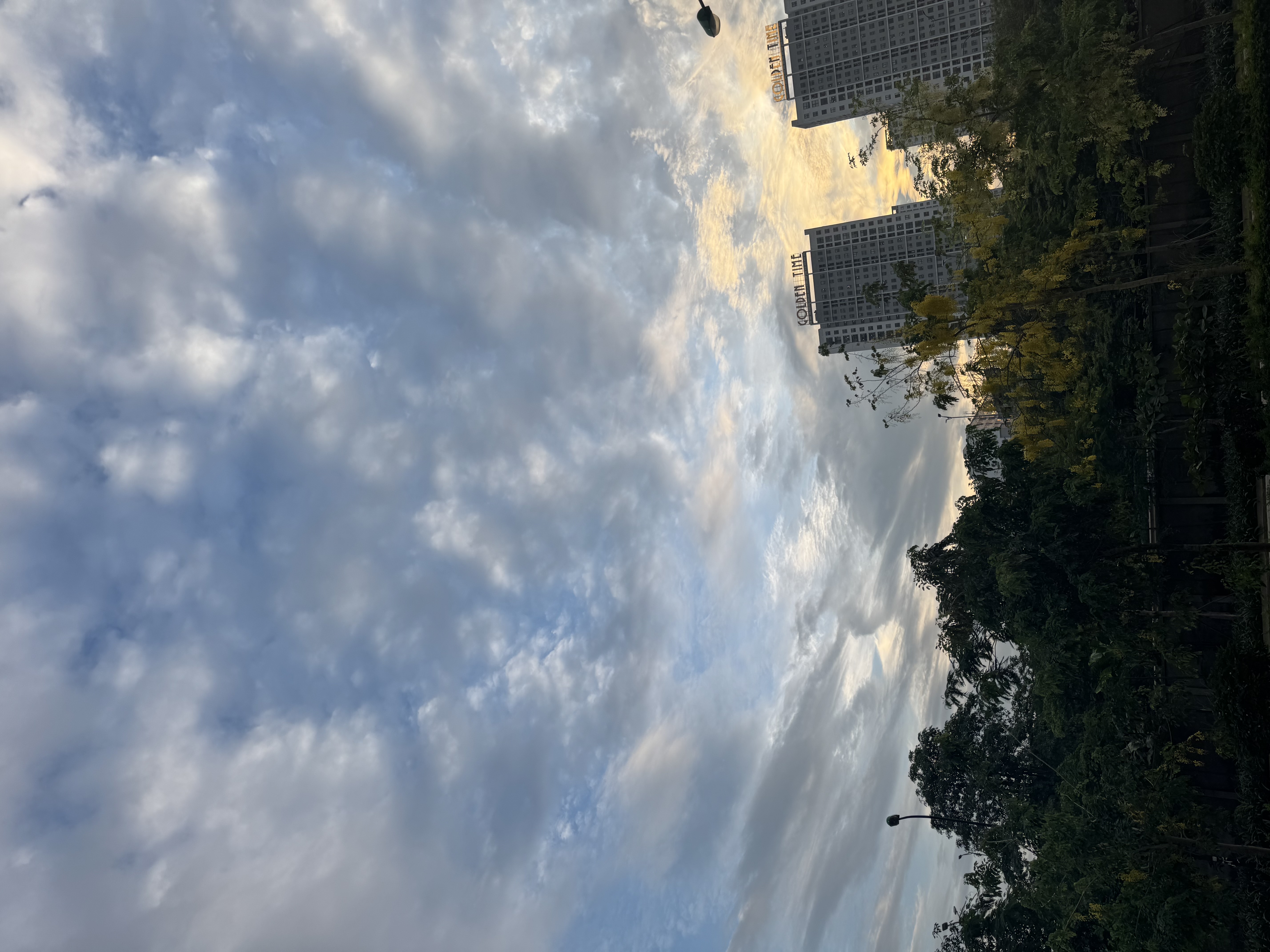 IMG_0867.jpeg