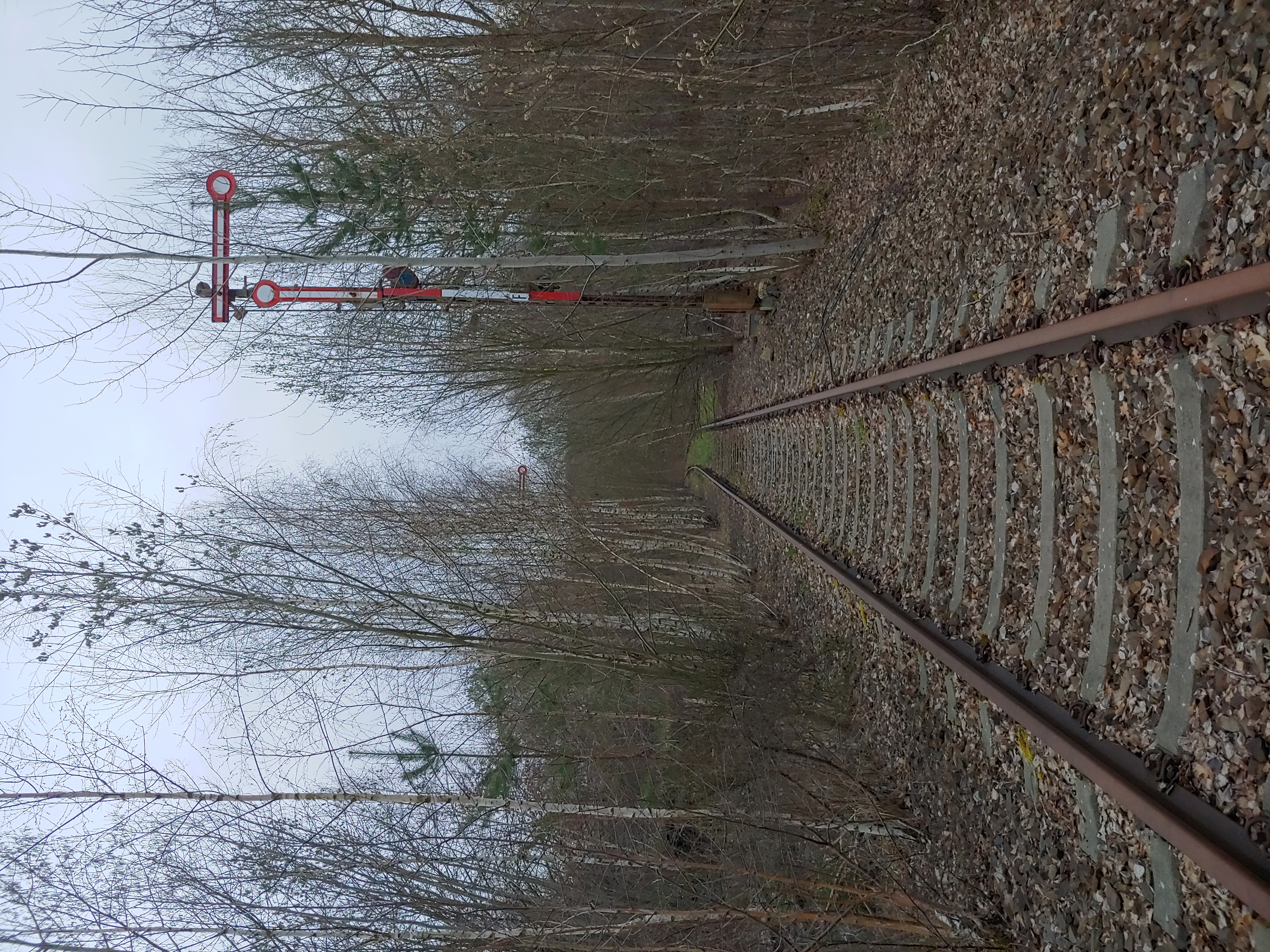 20210417_185130_HDR.jpg