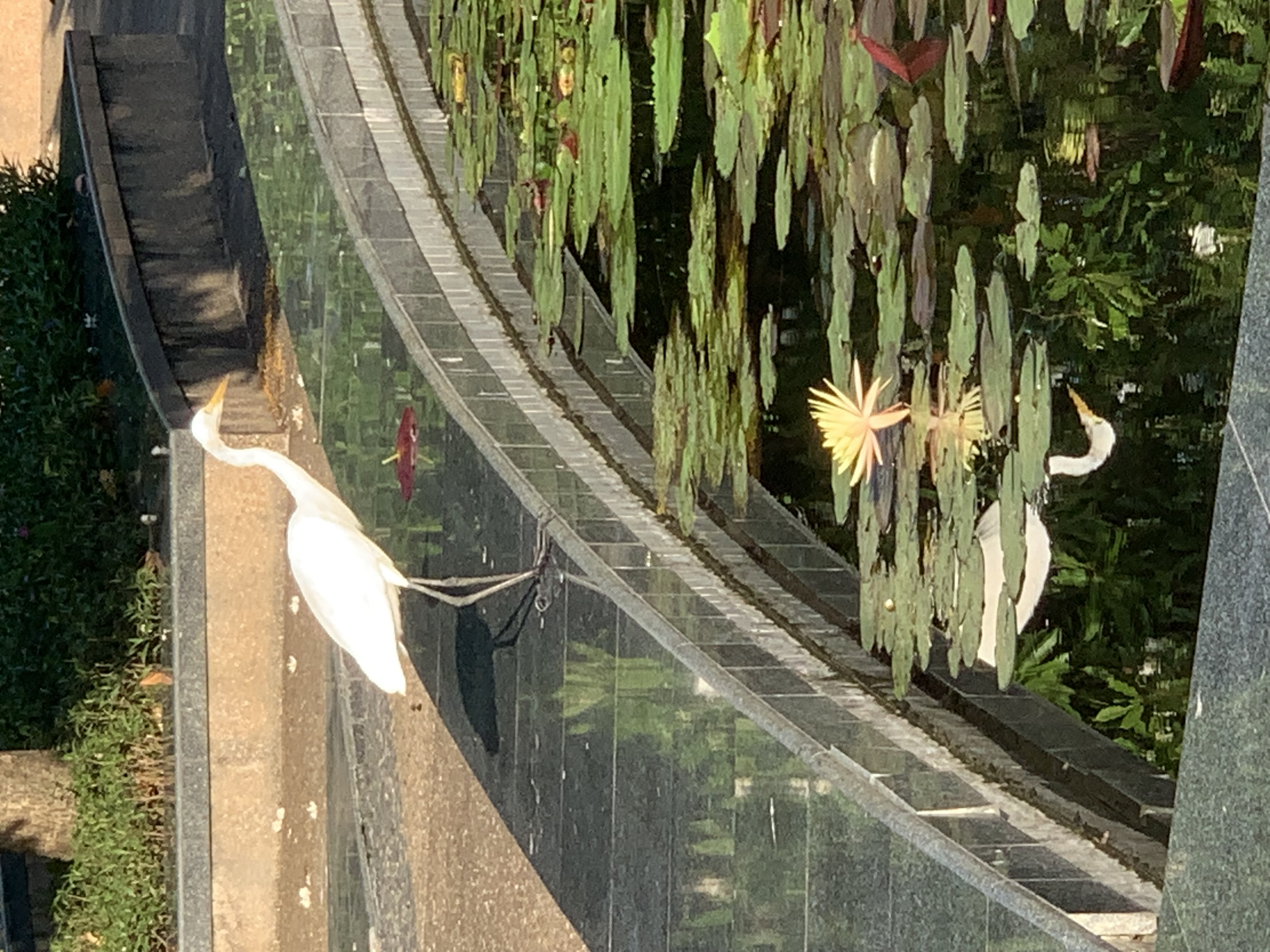 birdwatching spots11.jpg