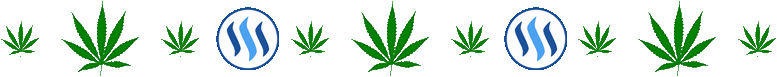 CANNA-page-divider-ANIM.gif