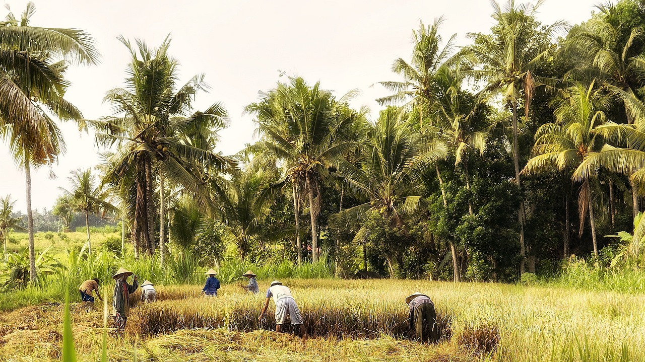 indonesia-570647_1280.jpg
