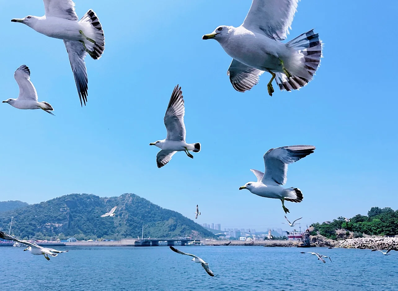 73.webp