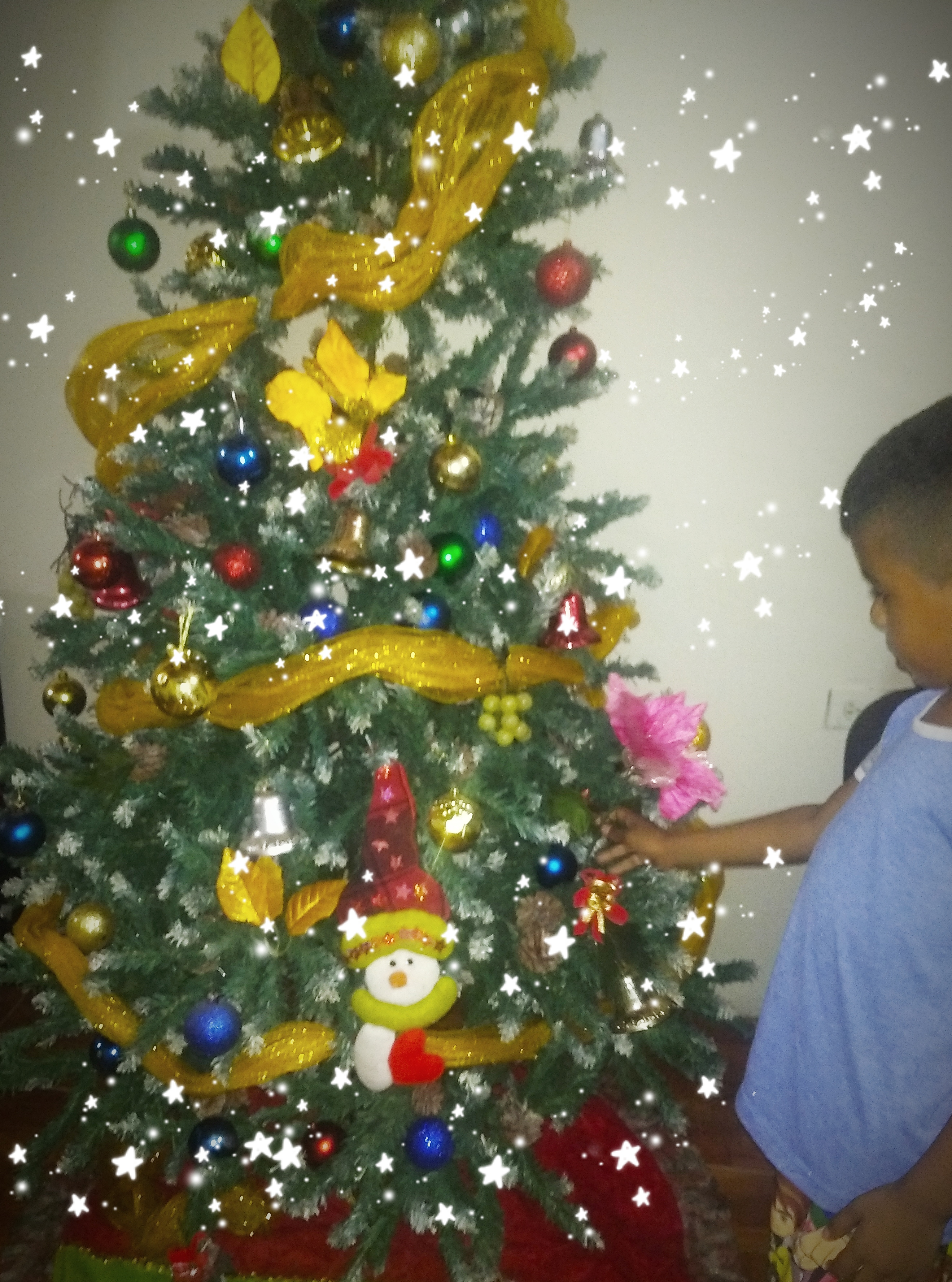 IMG_20211216_090812.jpg